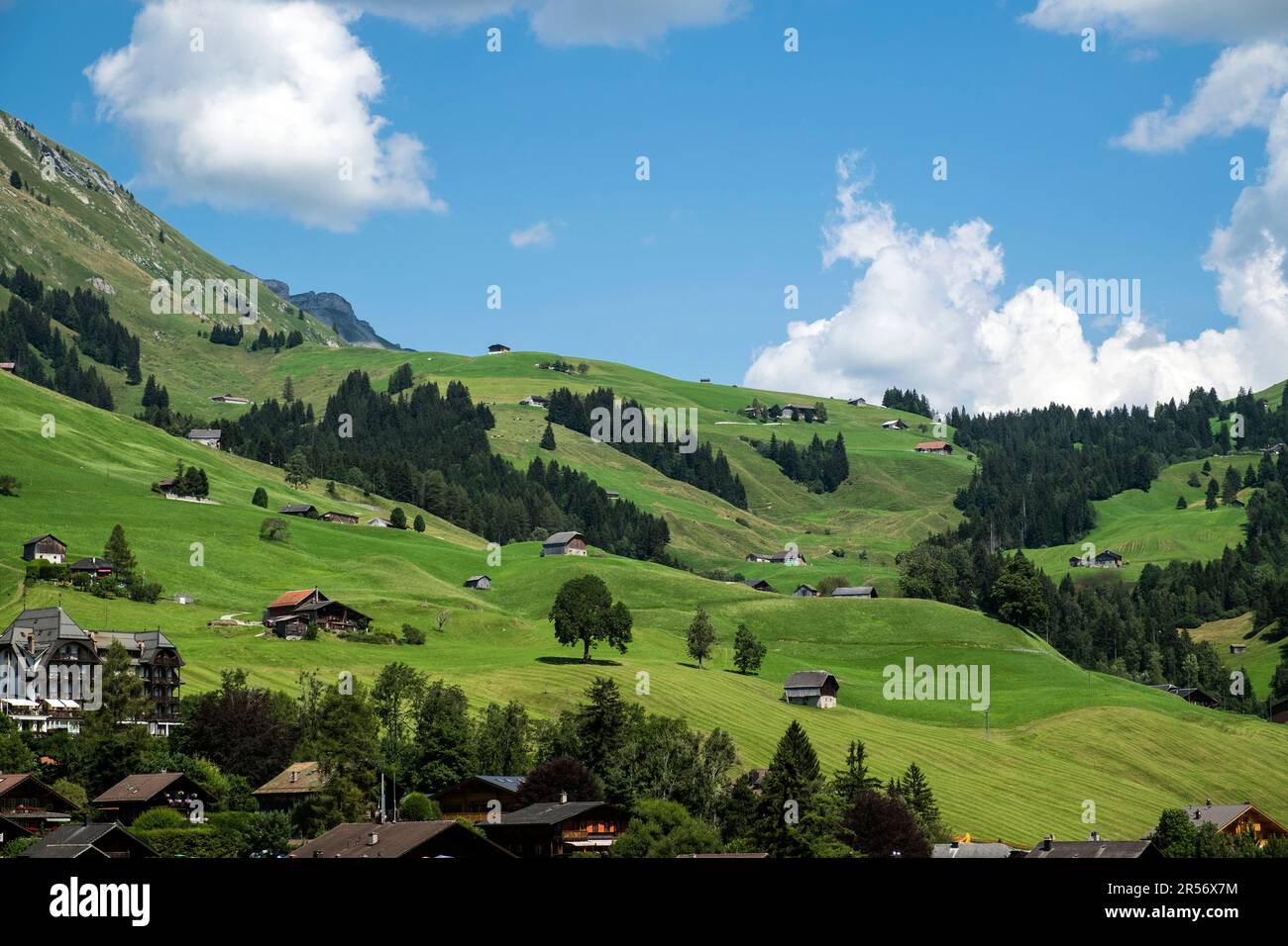 Die Schweiz. Kanton Vaud. Chateau d'Oex. Querformat Stockfoto