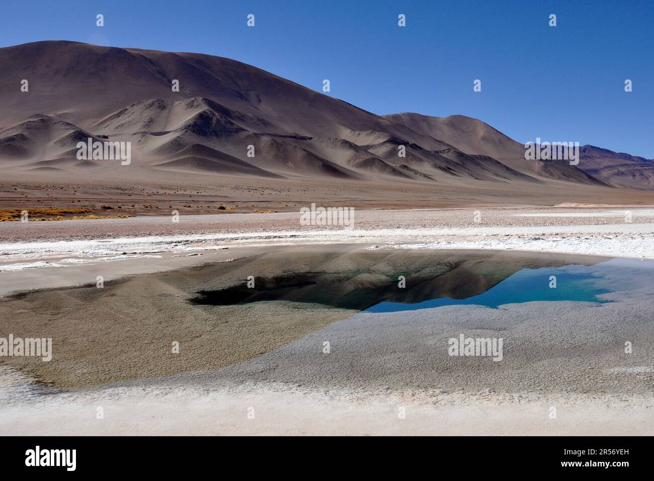 Argentinien. Region Salta. Tolar Grande Ojos del Mar Stockfoto