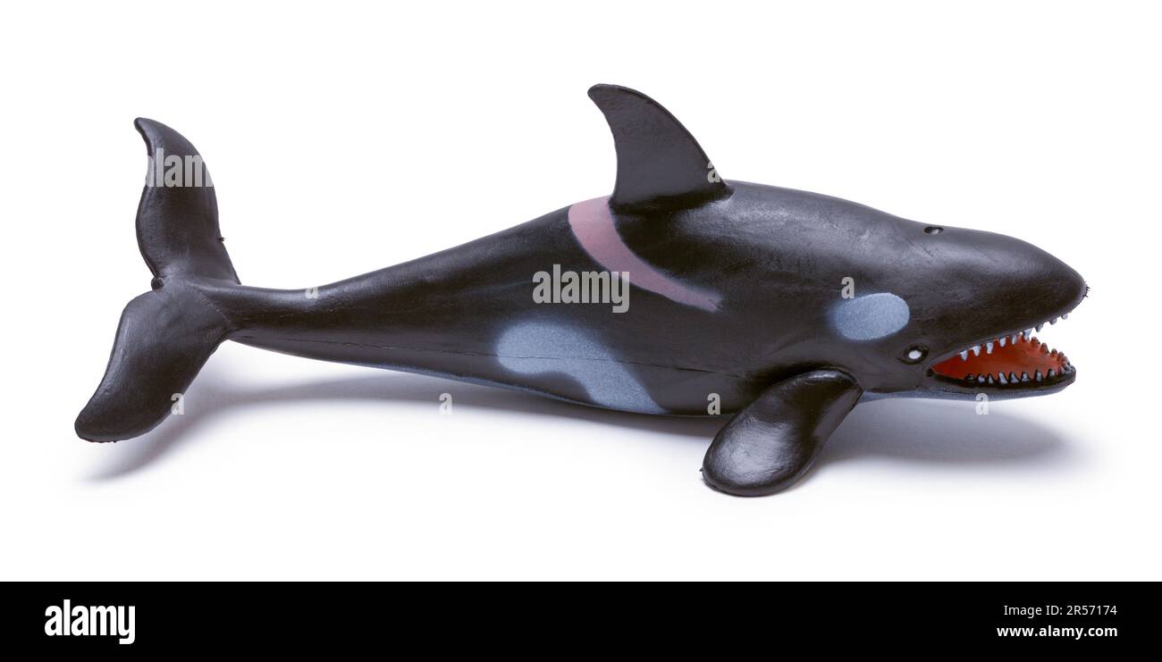 Killer Whale Toy ist auf White ausgestiegen. Stockfoto