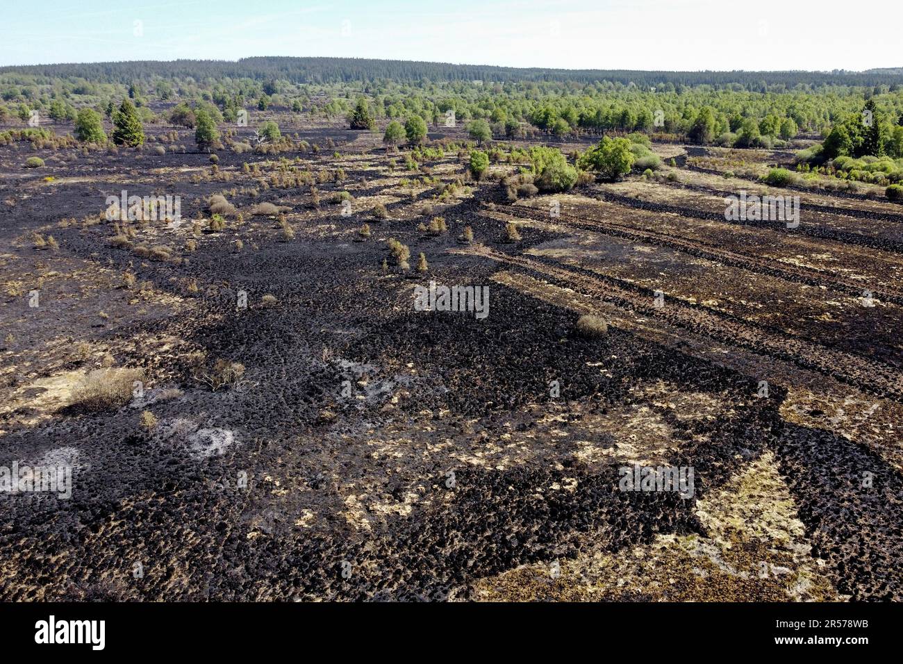 Eupen, Belgien. 01. Juni 2023. Aus der Vogelperspektive ein Feuerort in den Hautes Fagnes zwischen TERNELL und Mutzenich, in der Nähe der belgisch-deutschen Grenze, Donnerstag, den 01. Juni 2023. Mehr als 170 Hektar Vegetation sind in Flammen aufgegangen. Der Brand, der angeblich von Menschen verursacht wurde, begann Montagabend. Die belgischen Feuerwehrleute erhielten Unterstützung von deutschen Kollegen und dem Katastrophenschutz. BELGA PHOTO DIRK WAEM Credit: Belga News Agency/Alamy Live News Stockfoto