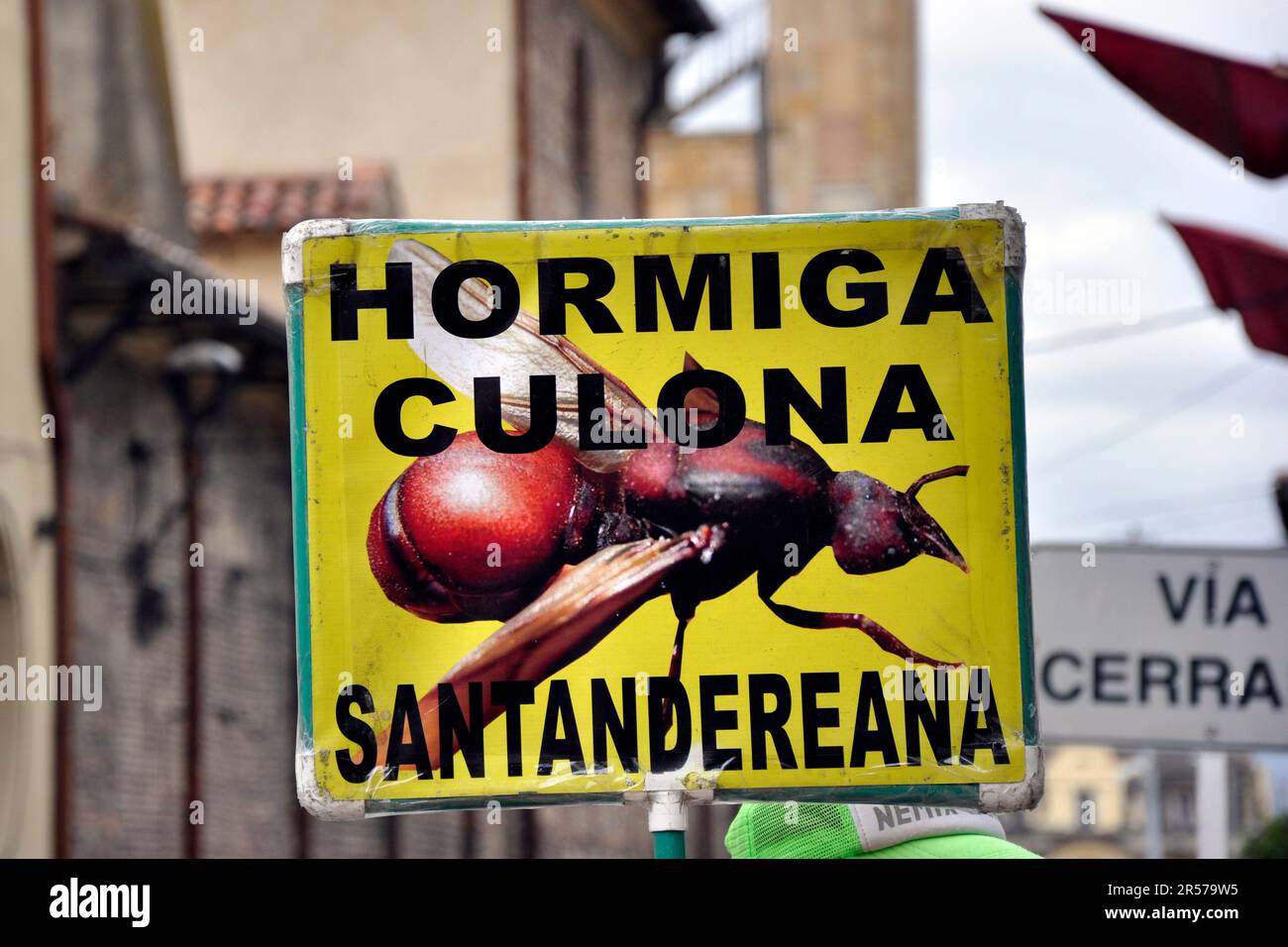 Amerika. Anden. Stadt. Kolumbien. Tag. Geografie. Geschichte. Latein. Niemand. Im Freien. Menschen. Nach Süden. Traditionell. Reisen. Bogota. Wandbilder. Art. Künstler. Künstler Stockfoto