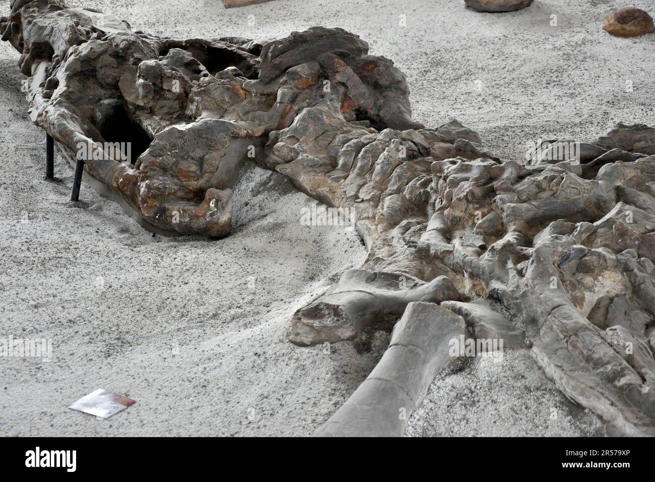 Amerika. Anden. Stadt. Kolumbien. Tag. Geografie. Geschichte. Latein. Niemand. Im Freien. Menschen. Nach Süden. Traditionell. Reisen. De Leyva. Villa De Leyva. Museum Stockfoto