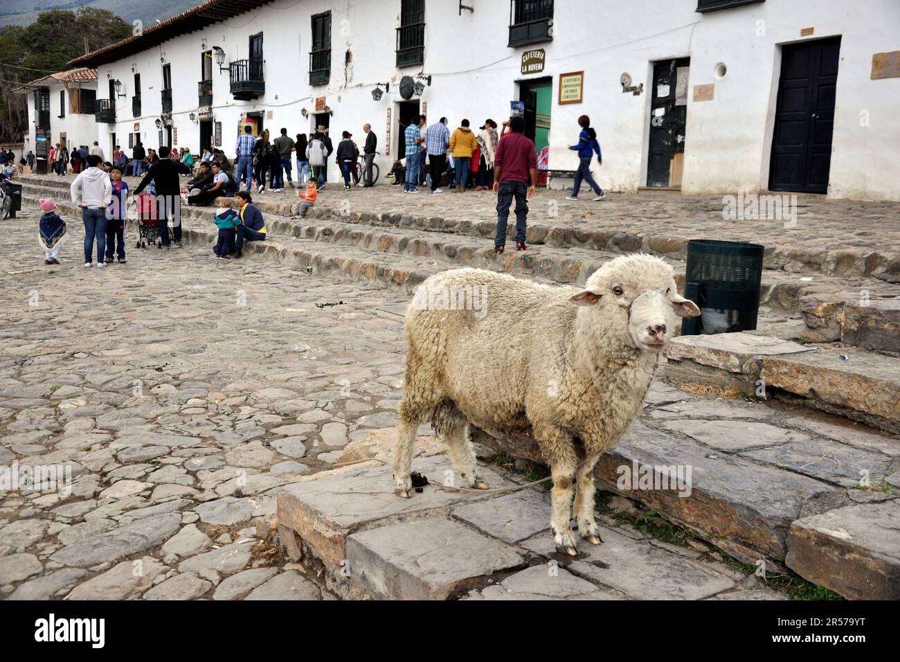 Amerika. Anden. Stadt. Kolumbien. Tag. Geografie. Geschichte. Latein. Niemand. Im Freien. Menschen. Nach Süden. Traditionell. Reisen. De Leyva. Villa De Leyva. In Die Altstadt Stockfoto