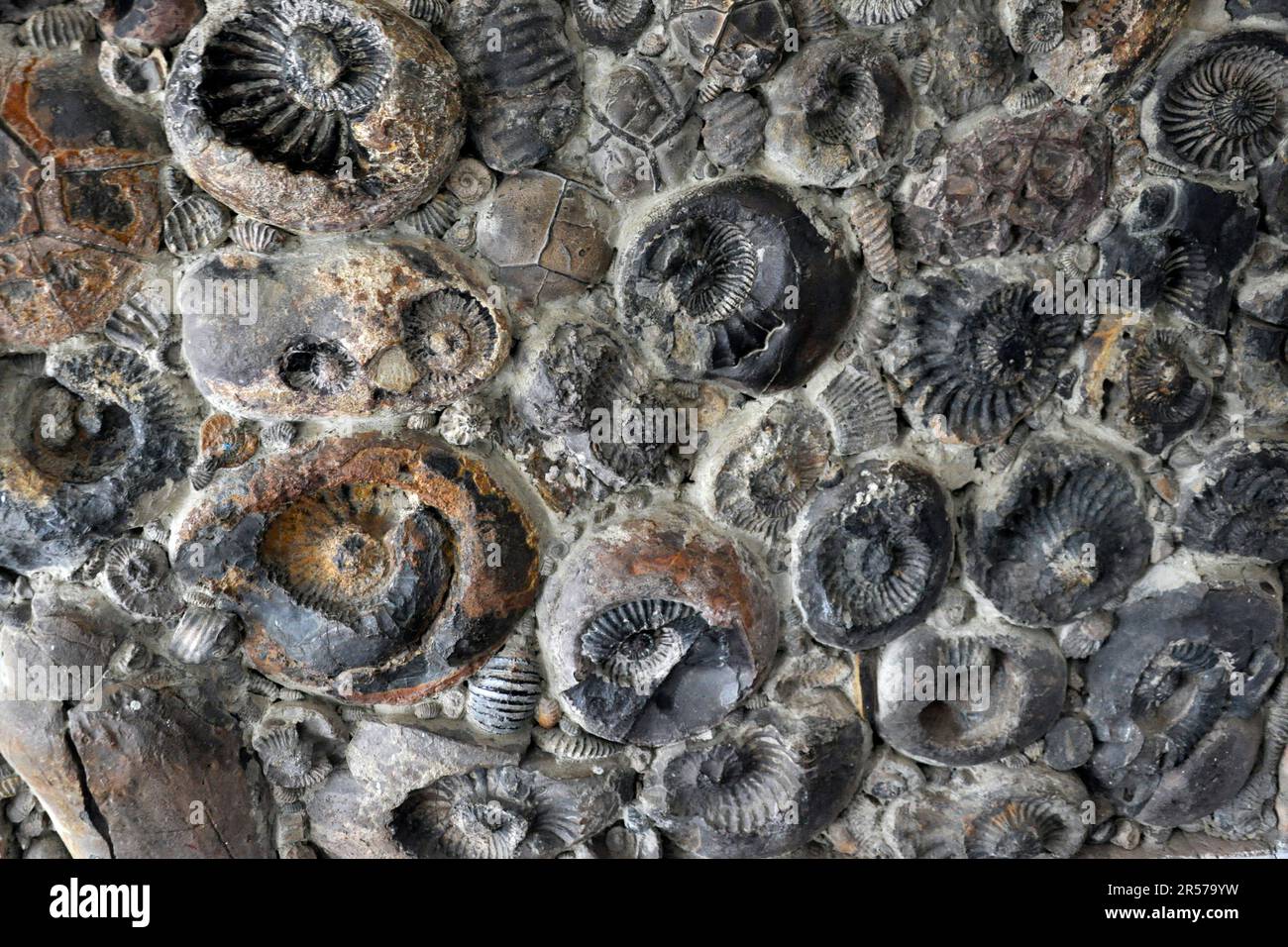 Museum. Villa De Leyva. De Leyva. Reisen. Traditionell. Nach Süden. Menschen. Im Freien. Niemand. Latein. Geschichte. Geografie. Tag. Kolumbien. Stadt. Anden. Amerika Stockfoto