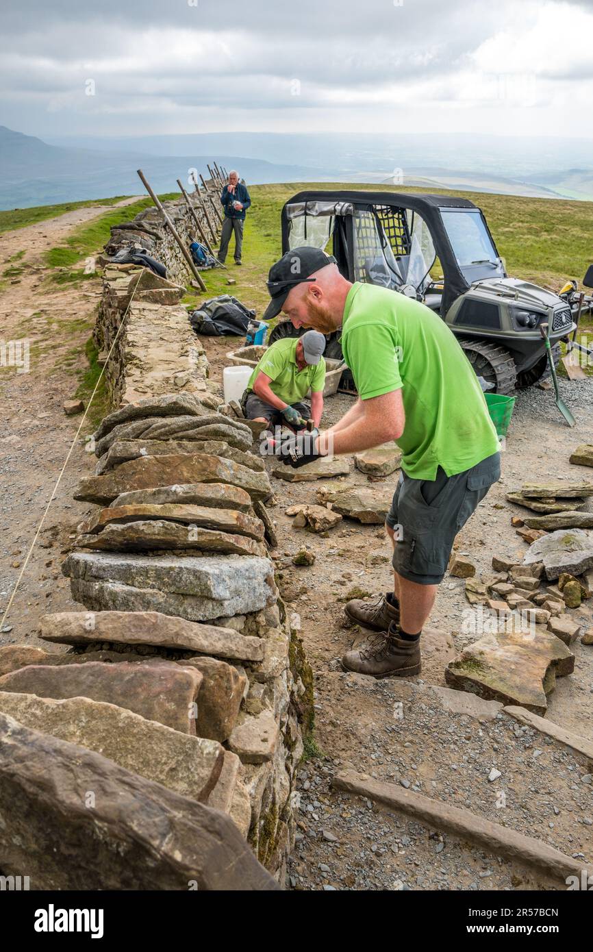 Freiwillige und Park Ranger pflegen die Wanderwege und trockenen Steinmauern auf dem Gipfel von Whenside, einem der drei Gipfel von Yorkshire. Stockfoto