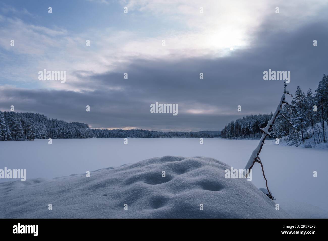 Blaue, ruhige Winterlandschaft mit einem gefrorenen See und bewölktem Himmel im Repovesi-Nationalpark, Kouvola, Finnland. Stockfoto