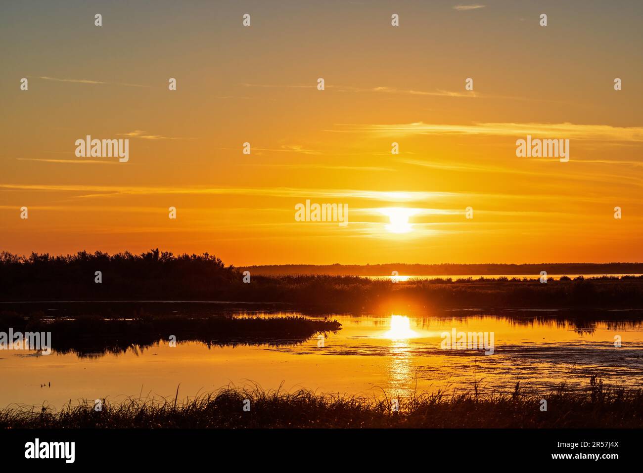 Wunderschöner Sonnenuntergang am Seeufer mit Wasserreflexionen, Hornborgasjoen, Schweden Stockfoto
