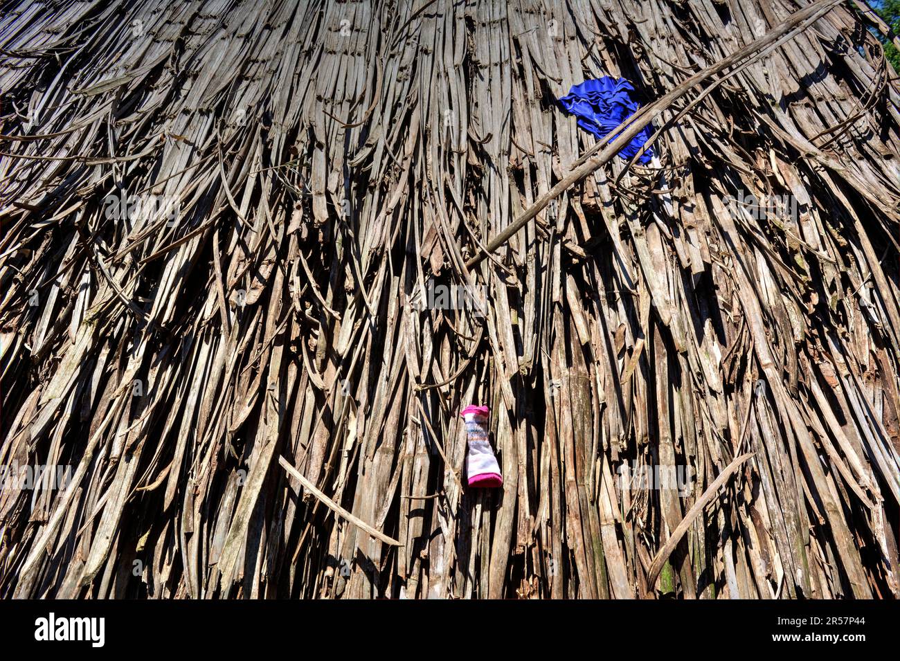 Strohdach eines traditionellen Hauses in einem indigenen Stammesjejy miri in Misiones, Argentinien Stockfoto