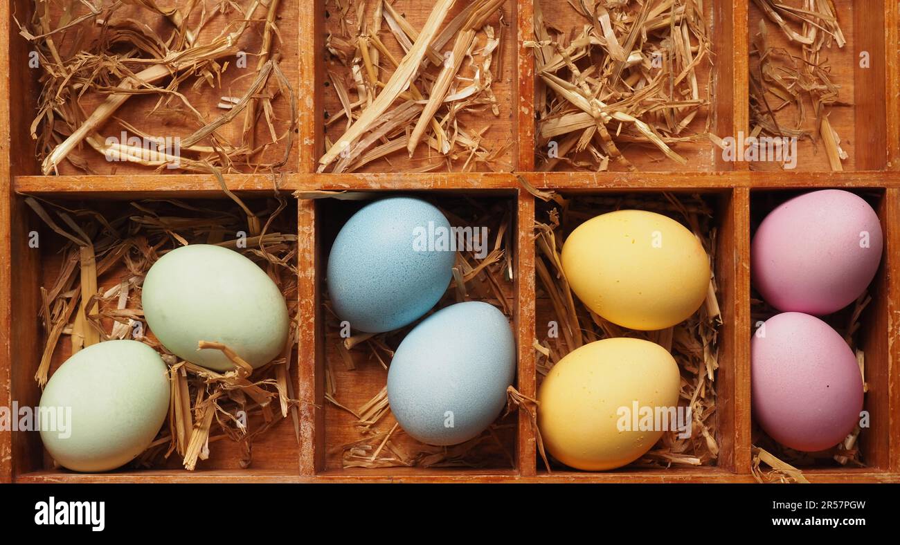 Mit natürlichen Farbstoffen selbst gefärbte Bio-Eier in einem Strohnest, Urlaub oder gesunde Ernährung Konzept Stockfoto