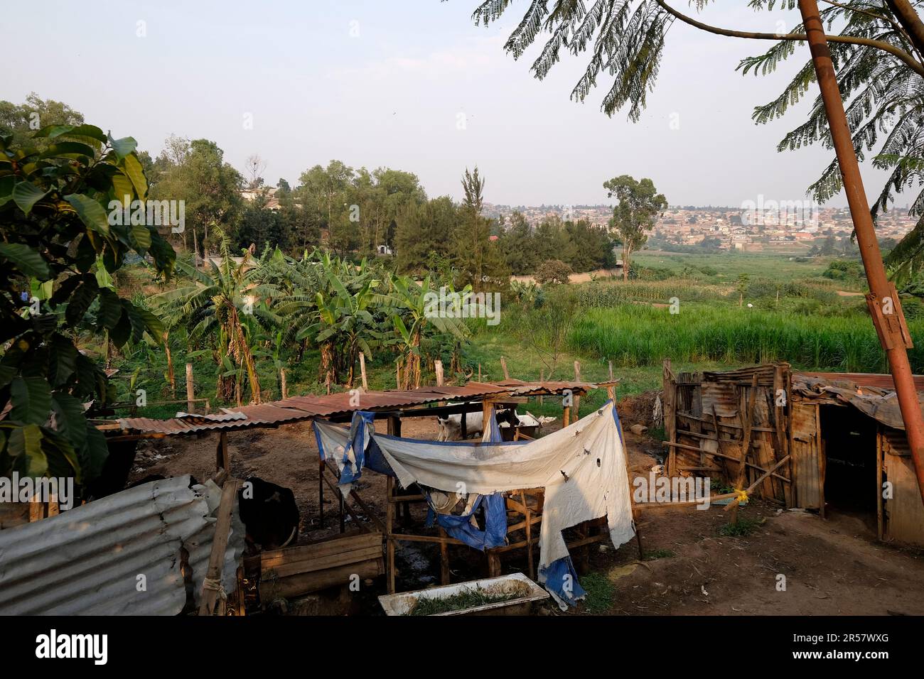 Ruanda. Kigali. Das tägliche Leben Stockfoto