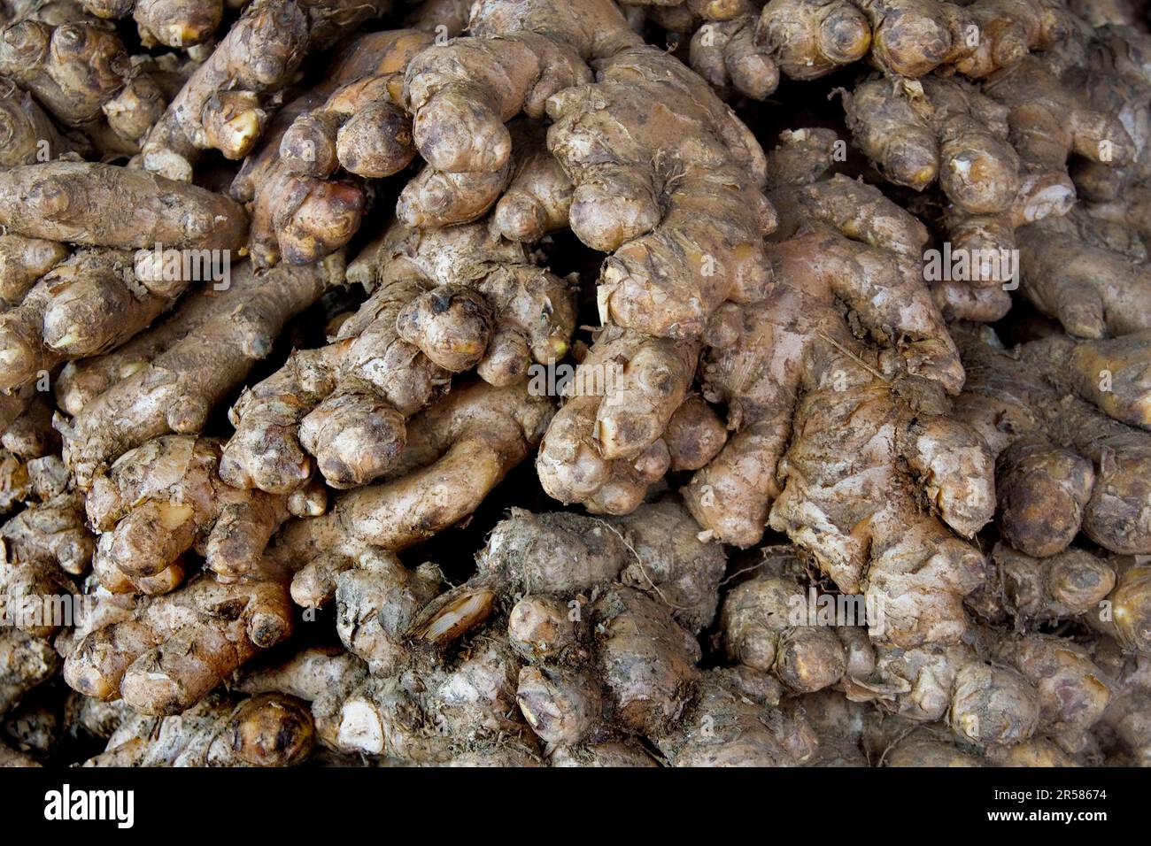 Topinambur. Hué. Vietnam Stockfoto