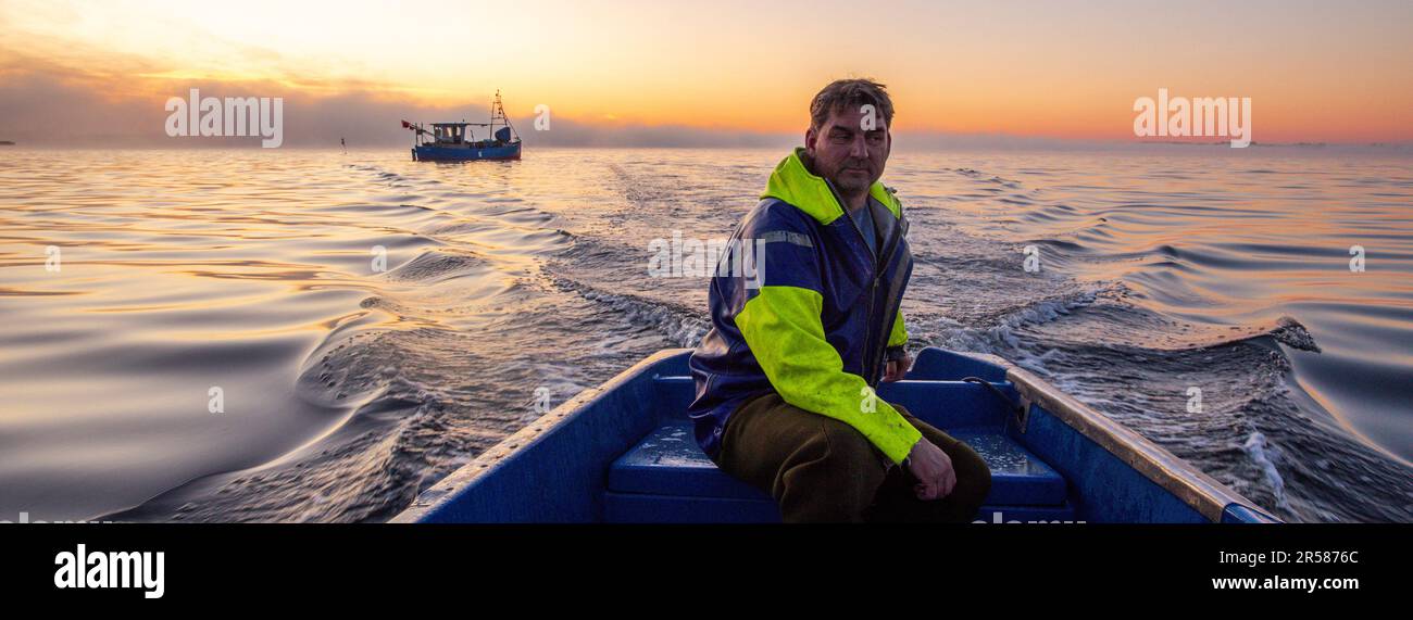 Rerik, Deutschland. 31. Mai 2023. Fischer Maik segelt nie vor Sonnenaufgang auf dem Salzhaff zu seinen Schleppnetzen, in denen Ostseekrabben gefangen werden. Seit jeher wandern die weiblichen Krabben Anfang Juni in der Salzhaff zwischen Wismar und Rerik und laichen in Richtung der offenen Ostsee. Es ist der einzige Ort an der Ostseeküste, an dem die Krebstiere noch heute gefangen werden. Besonders lokale Gourmets schätzen die frischen Ostseekrabben, aber ihre Fänge sind im Vergleich zur Nordsee minimal. Kredit: Jens Büttner/dpa/Alamy Live News Stockfoto