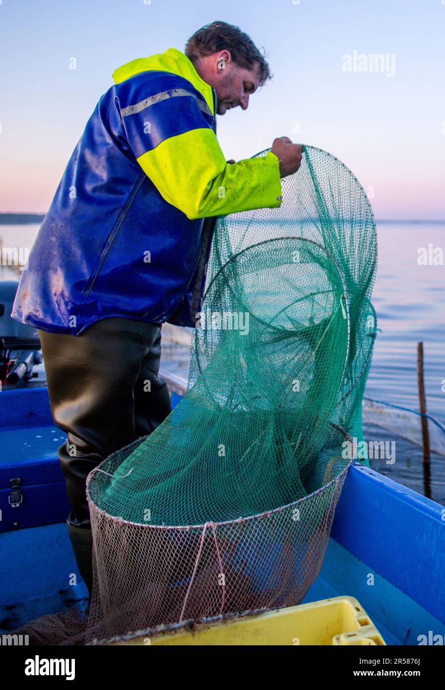 Rerik, Deutschland. 31. Mai 2023. Der Fischer Maik leert nie die Fangnetze mit den frisch gefangenen Ostseekrabben bei Sonnenaufgang auf der Salzhaff. Seit jeher wandern weibliche Krabben in die offene Ostsee, um Anfang Juni in der Salzhaff zwischen Wismar und Rerik zu laichen. Es ist der einzige Ort an der Ostseeküste, an dem die Krebstiere noch heute gefangen werden. Besonders lokale Gourmets schätzen die frischen Ostseekrabben, aber ihre Fänge sind im Vergleich zur Nordsee minimal. Kredit: Jens Büttner/dpa/Alamy Live News Stockfoto