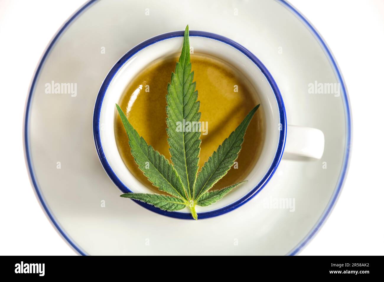 Hellgrünes Marihuana-Blatt auf blauem weißen Becher Stockfoto