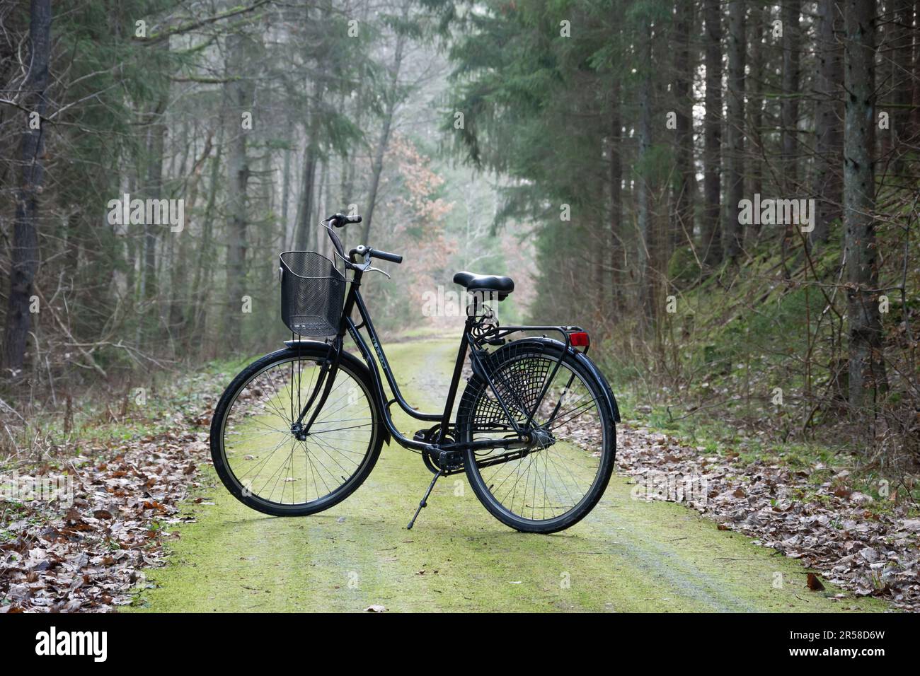 Nach einem Radfahrtag irgendwo in Südschweden dachte ich daran, dieses Foto zu machen. Stockfoto