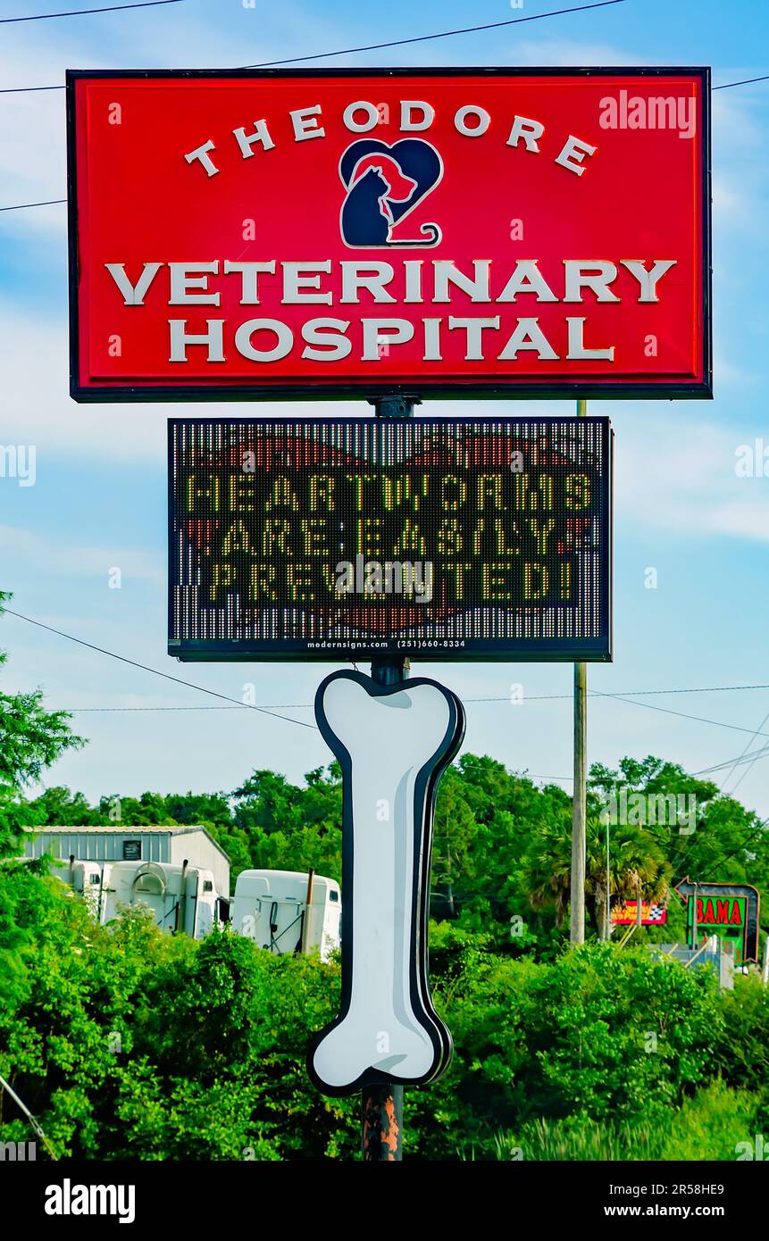 Ein Schild wirbt Herzwürmer-Vorbeugung im Theodore Veterinary Hospital, 31. Mai 2023, in Theodore, Alabama. Stockfoto
