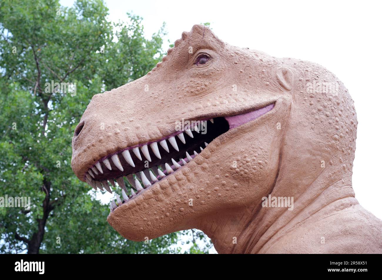 St. Louis, Usa. 01. Juni 2023. Ein großer T-Rex Dinosaurier steht in der Nähe des Planetariums am St. Louis Science Center am National Dinosaur Day in St. Louis am Donnerstag, den 1. Juni 2023. Dinosaurier lebten vor Millionen von Jahren und waren Reptilien und Vorfahren der gewöhnlichen Eidechsen, Schlangen, Schildkröten und Krokodile, die heute existieren. Die Dinosaurier lebten während der Mesozoik oder dem Zeitalter der Reptilien, das vor etwa 252 Millionen Jahren begann. Foto: Bill Greenblatt/UPI Credit: UPI/Alamy Live News Stockfoto