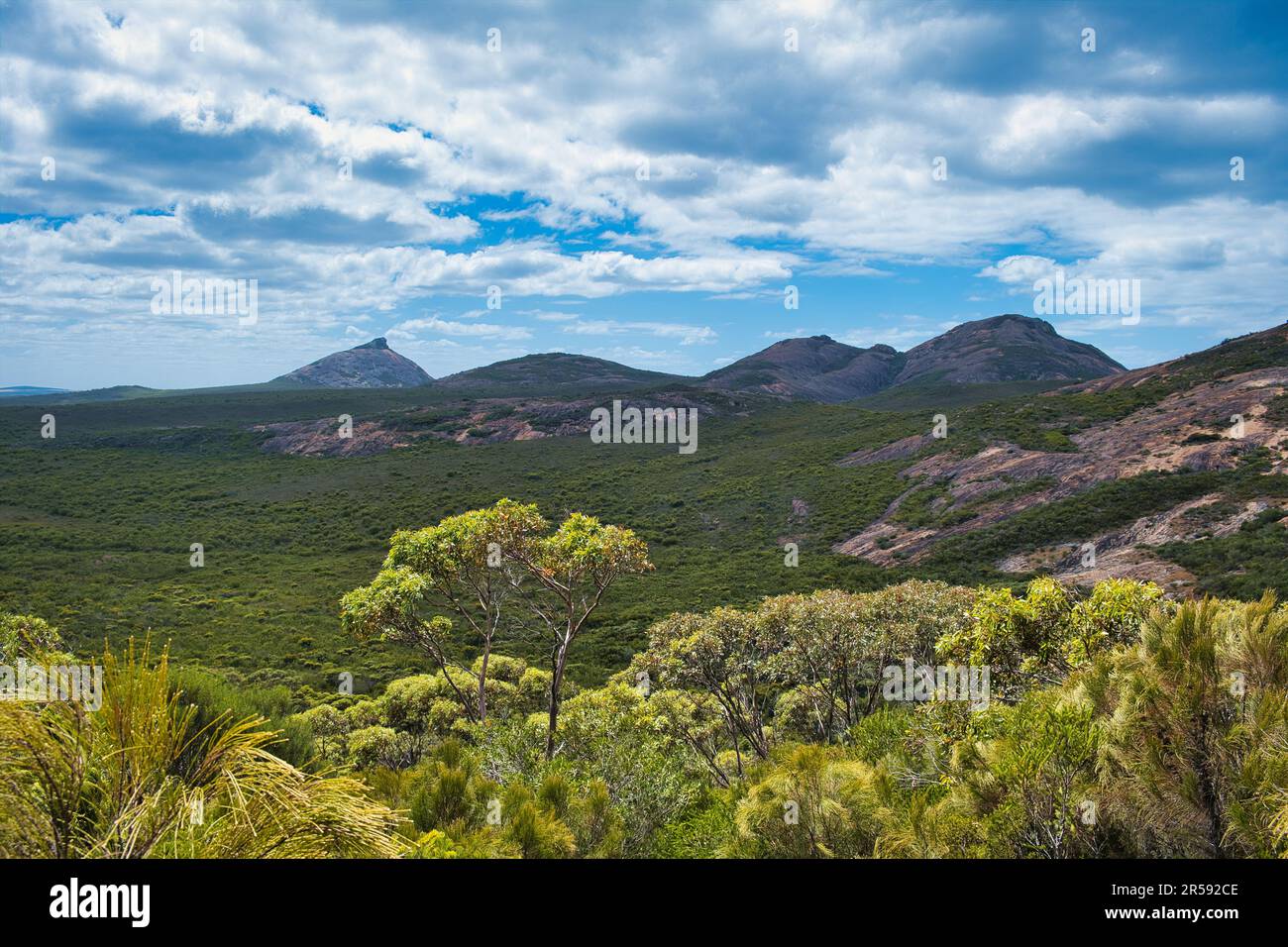 Landschaft mit sonnenbeleuchteter Küstenvegetation und granitischen Hügeln im Cape Le Grand National Park, Westaustralien. Im Hintergrund Frenchman's Peak Stockfoto