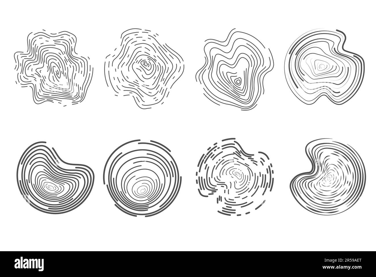 Lineares Muster von Holzbaumringen. Topographiekreise mit Kartentextur. Kreisförmige Wellenformen. Abstrakte Umrisslinien für Rumpf-Runden Stock Vektor