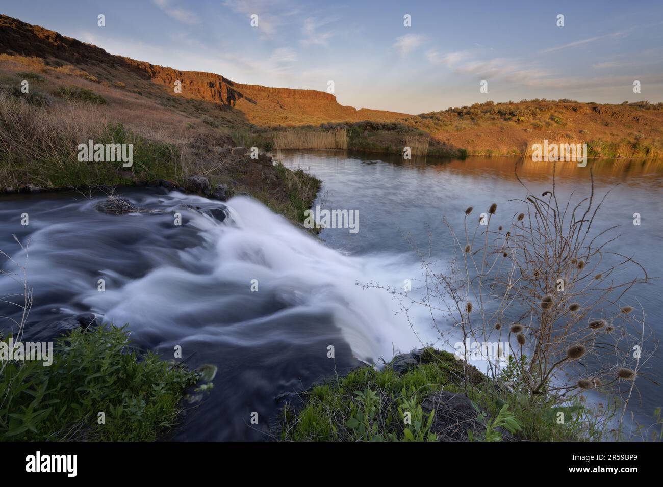 Unbenannter Wüstenwasserfall, der während des Frühjahrsabflusses in einen unbenannten See unter Basaltklippen fällt, Columbia National Wildlife Refuge, Washington, USA Stockfoto