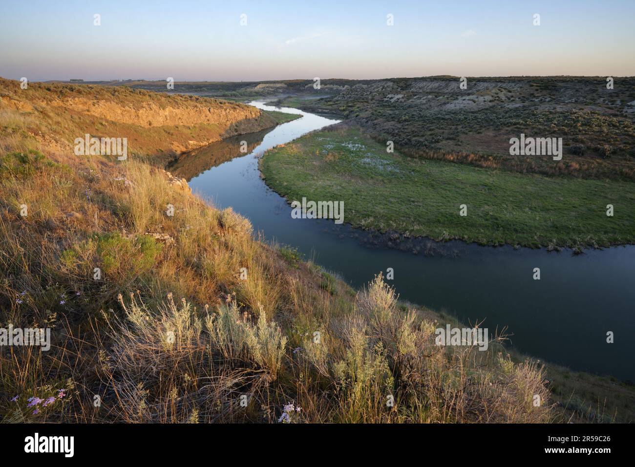 Lind Coulee Wasteway schlängelt sich im Morgengrauen durch die Wüste, Desert Wildlife Area, Washington, USA Stockfoto