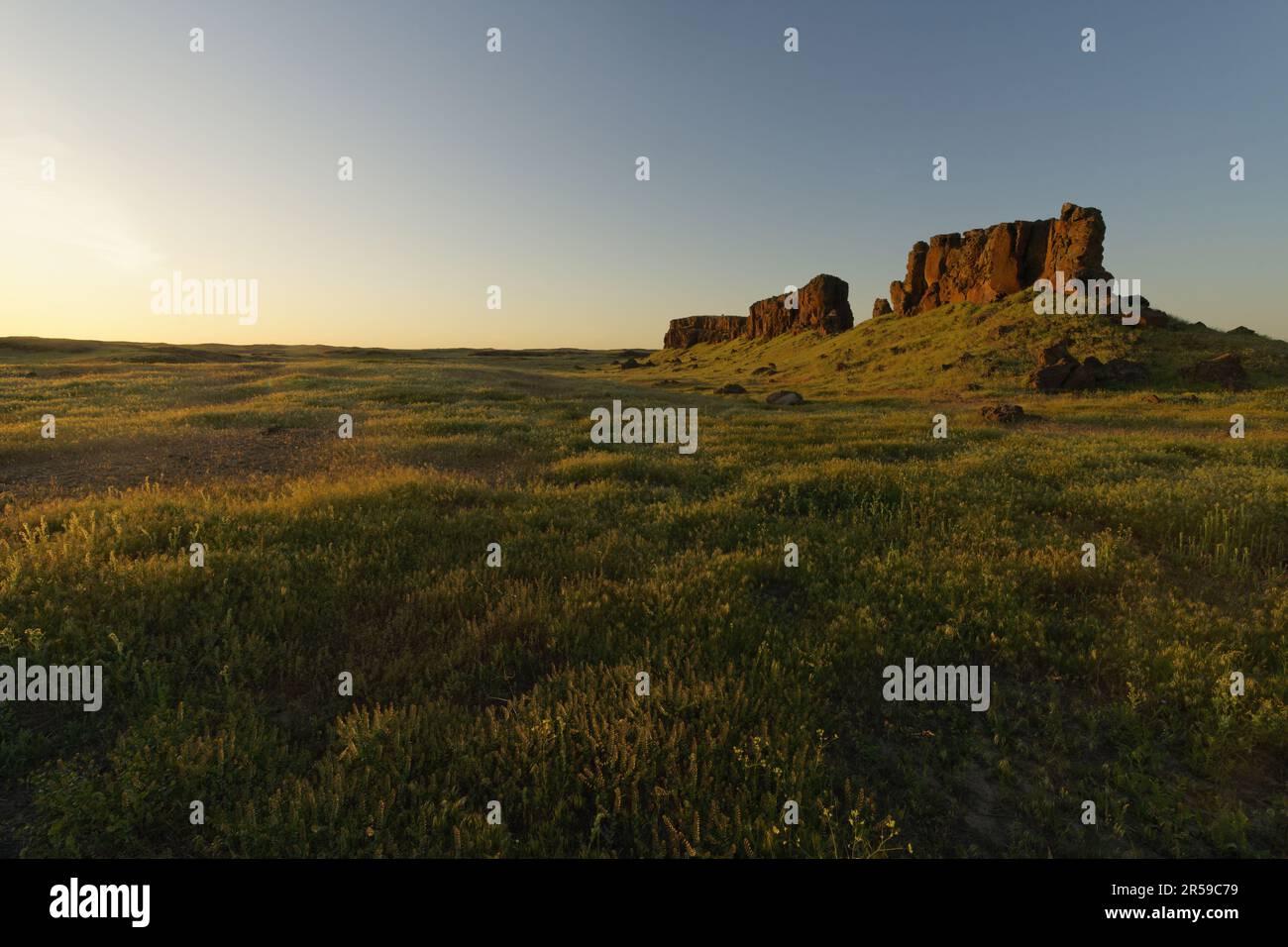 Basalt butte erhebt sich über Wüstengrasland bei Sonnenuntergang, Seep Lakes Wildlife Area, Washington, USA Stockfoto