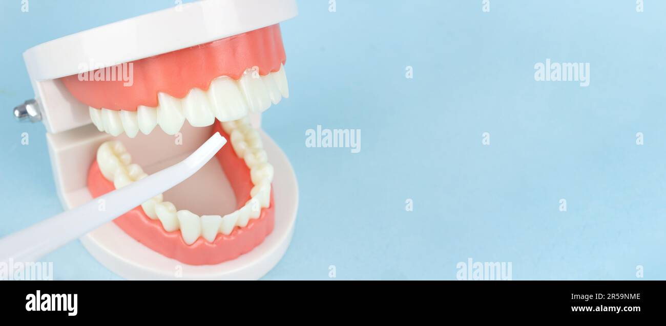 Zahnprothesen Modell mit Mundhöhlenspülung zur Zahnreinigung. Totalprothese oder Totalprothese auf blauem Hintergrund Stockfoto