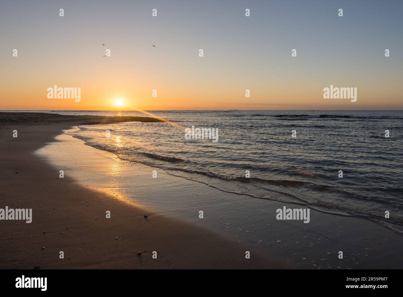 Vögel am Himmel während eines warmen Sonnenaufgangs und sanfte Wellen am Strand in ägypten Stockfoto