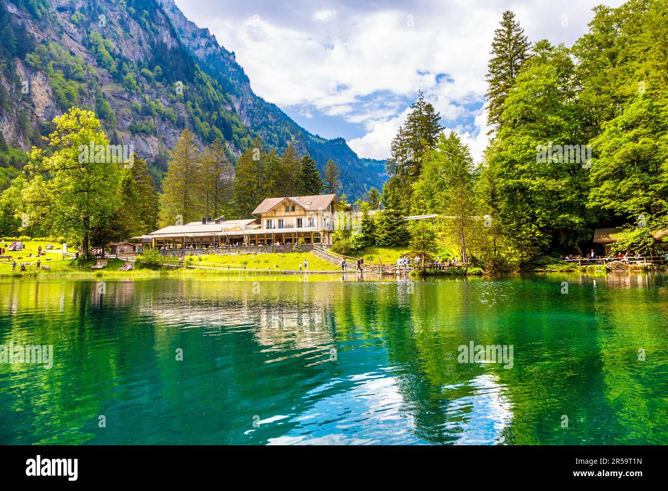 Klares, azurblaues Wasser des Blausee Sees (Blauer See), umgeben von alpinen Wäldern, Schweiz Stockfoto