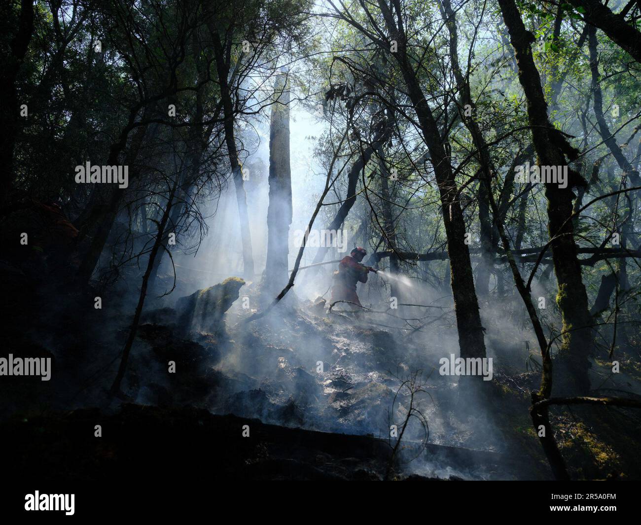 MULI, CHINA 1. JUNI 2023 Feuerwehrleute bekämpfen ein