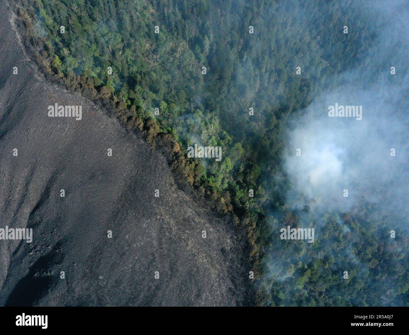 MULI, CHINA 31. MAI 2023 Feuerwehrleute bei einem Waldbrand in