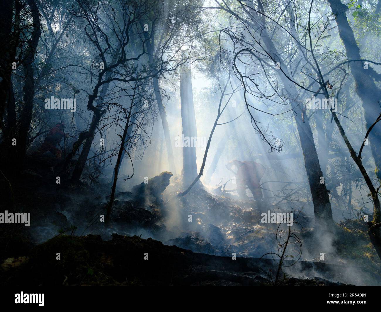 MULI, CHINA 1. JUNI 2023 Feuerwehrleute bekämpfen ein