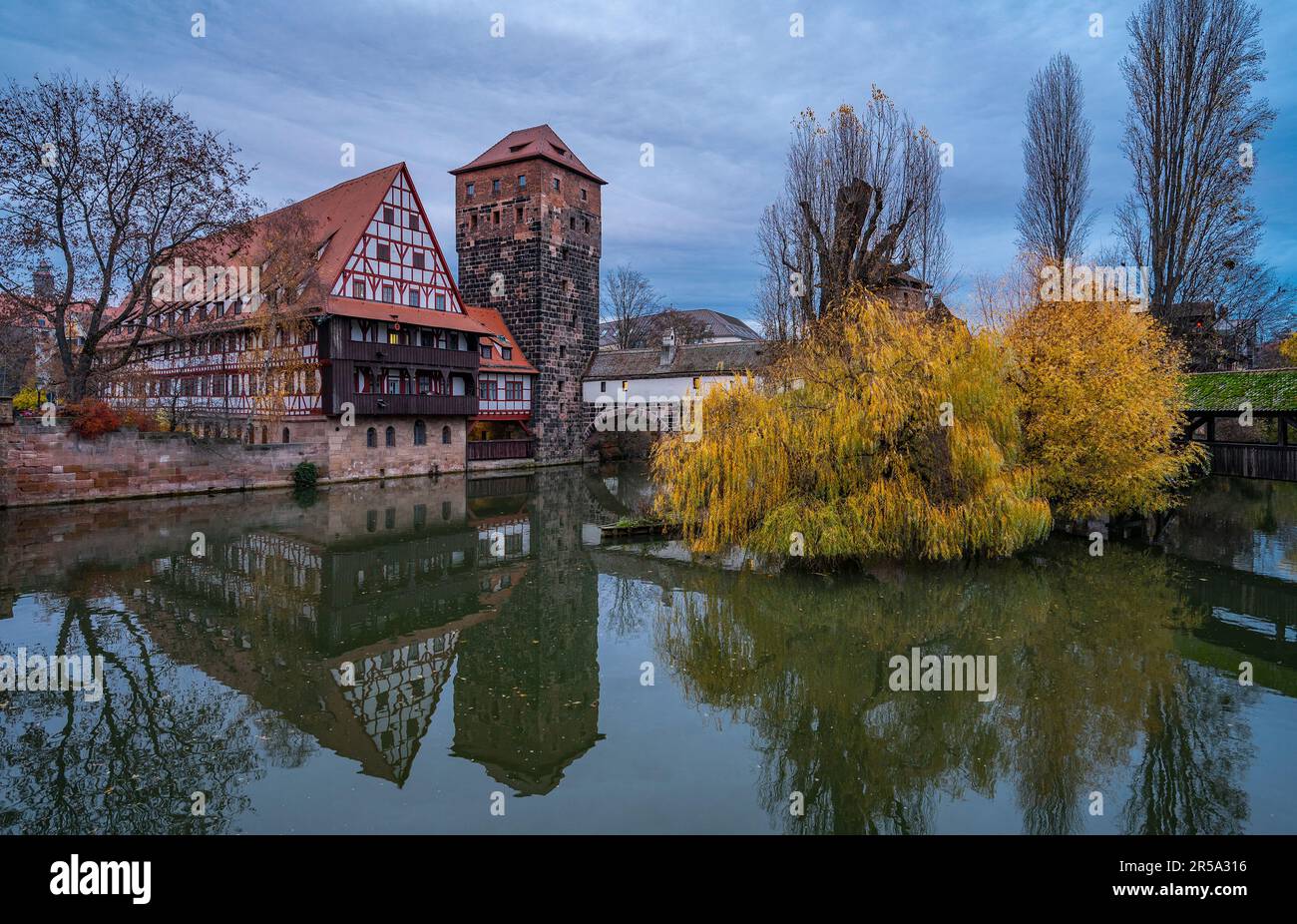 Trauerweide an der Pegnitz in Nürnberg Stockfoto