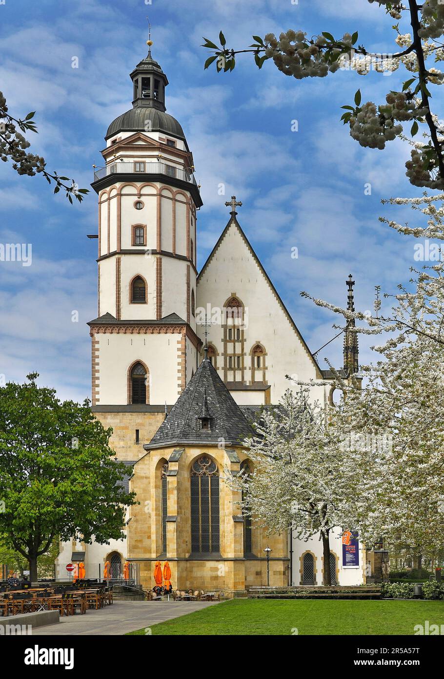 St. Thomas-Kirche mit blühenden Obstbäumen im Frühling, Deutschland, Sachsen, Leipzig Stockfoto