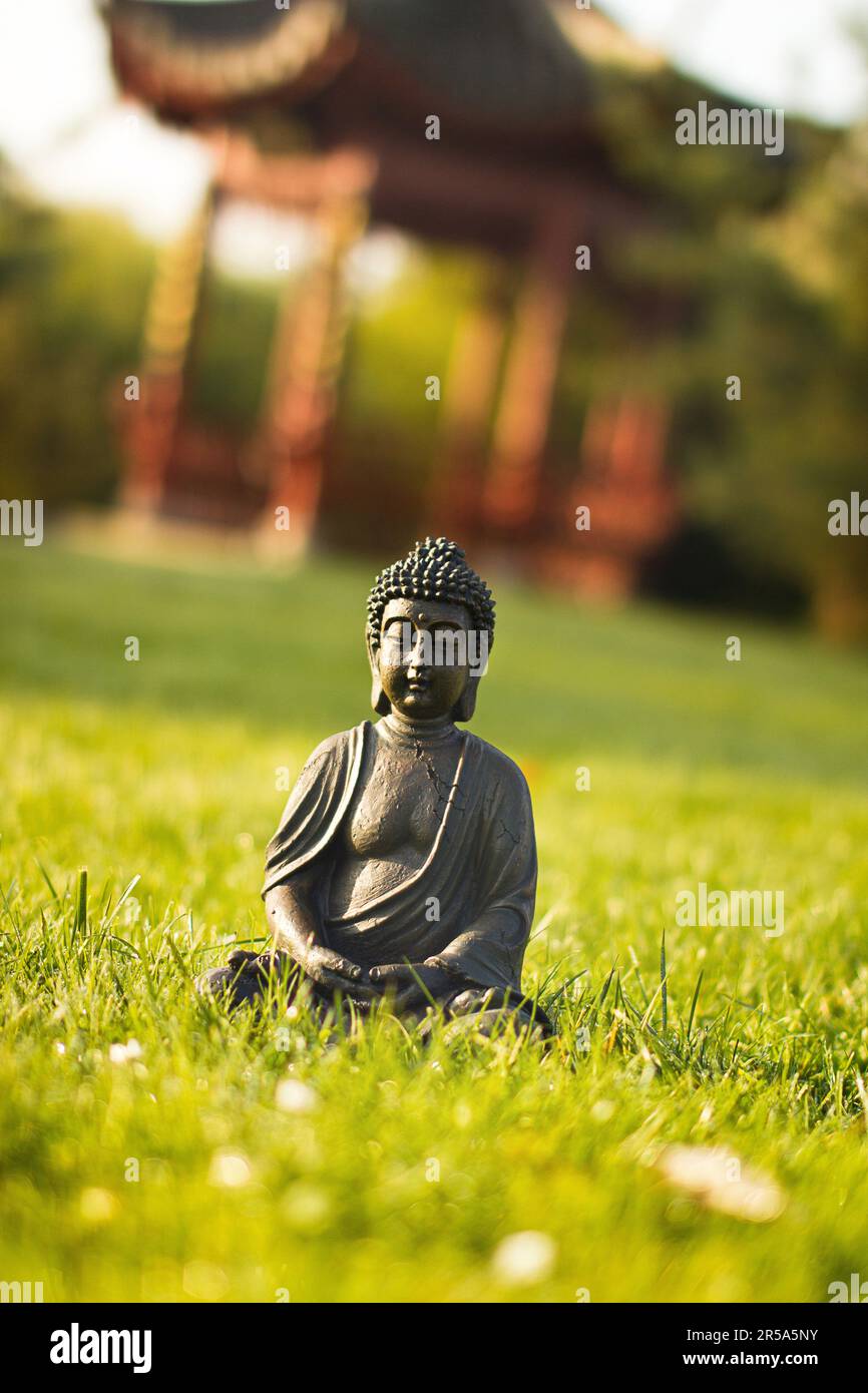 buddha auf einer Wiese in einem chinesischen Garten Stockfoto