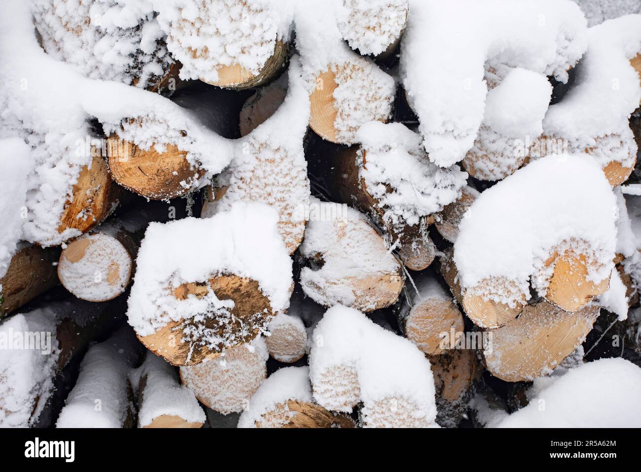Schneebedeckter Holzstapel, Deutschland, Bayern Stockfoto