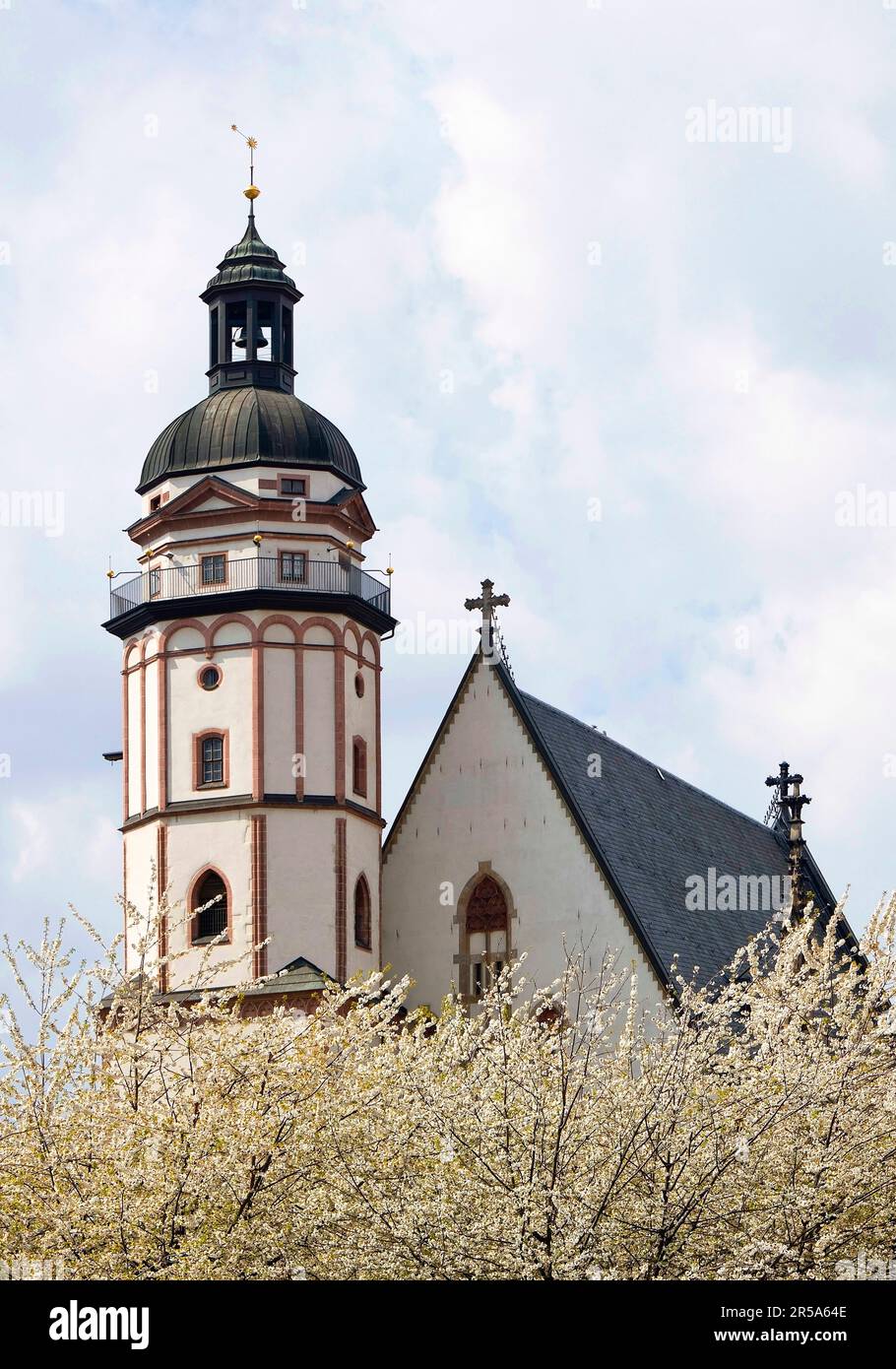 St. Thomas-Kirche mit blühenden Obstbäumen im Frühling, Deutschland, Sachsen, Leipzig Stockfoto