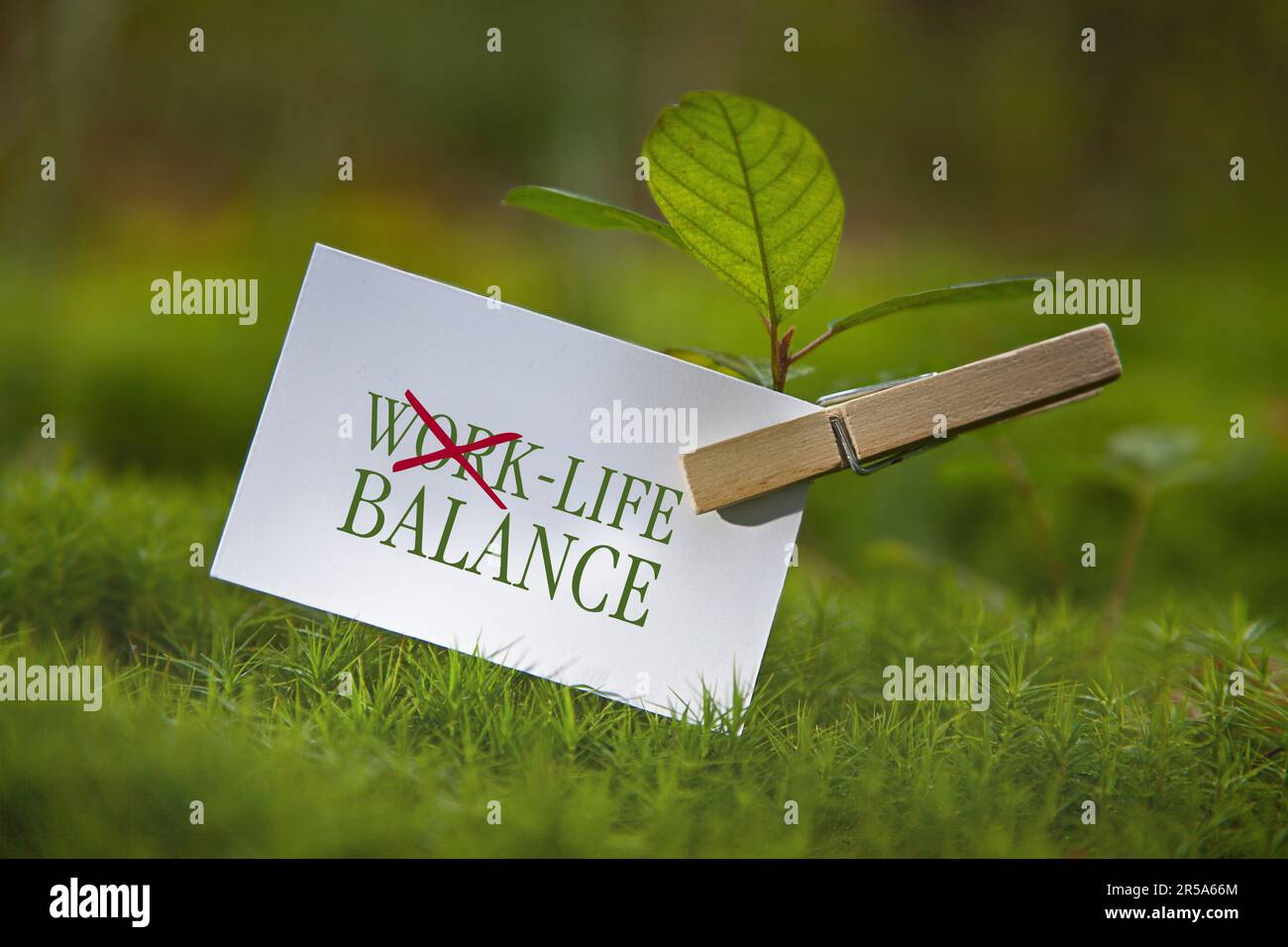 Auf einer Wiese mit einem Blatt Papier, das Work-Life-Balance schreibt, zerkratzte das Wort Arbeit Stockfoto