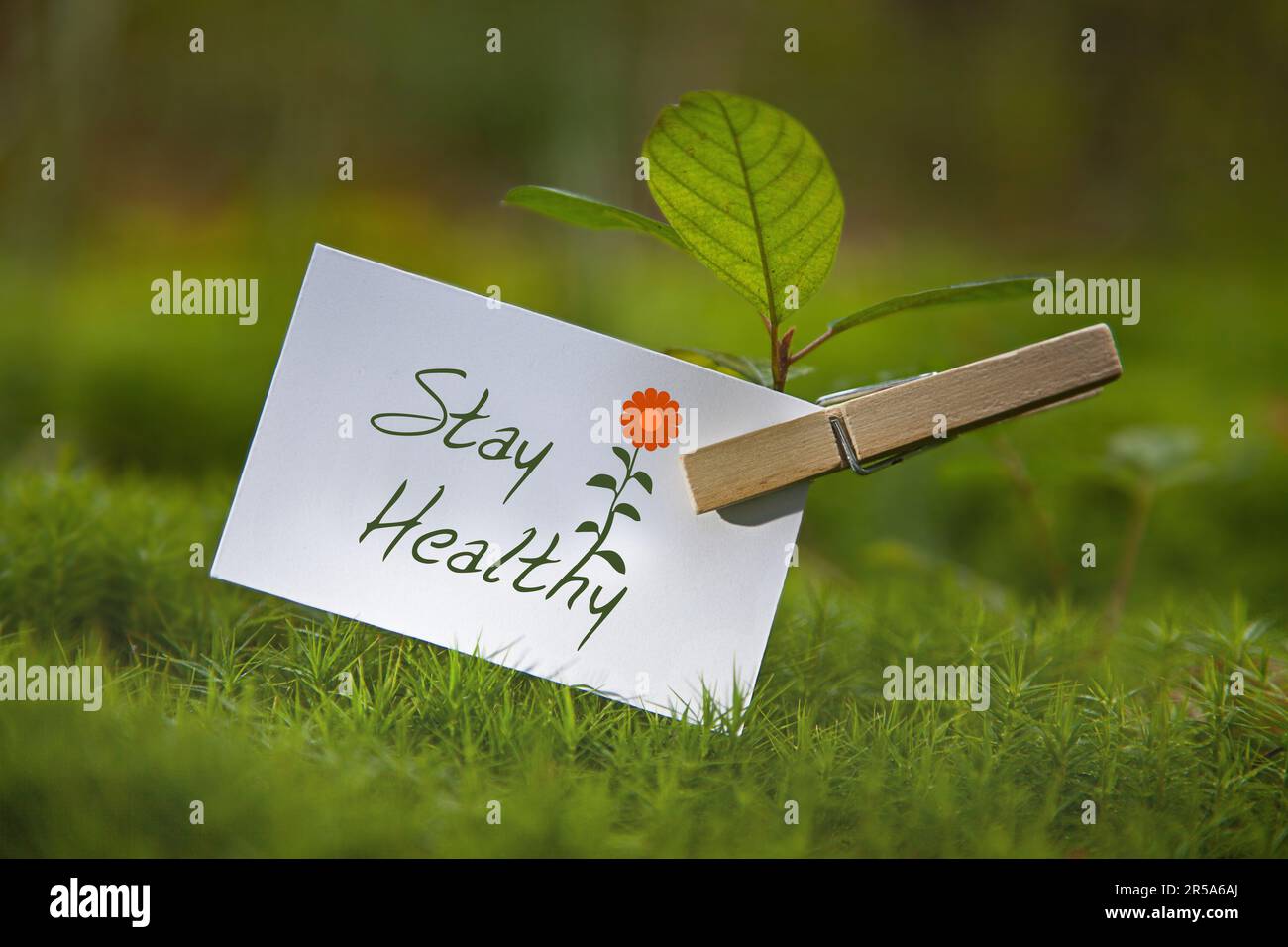 Setzlinge auf einer Wiese mit einem Stück Papier Schriftzug bleiben gesund Stockfoto