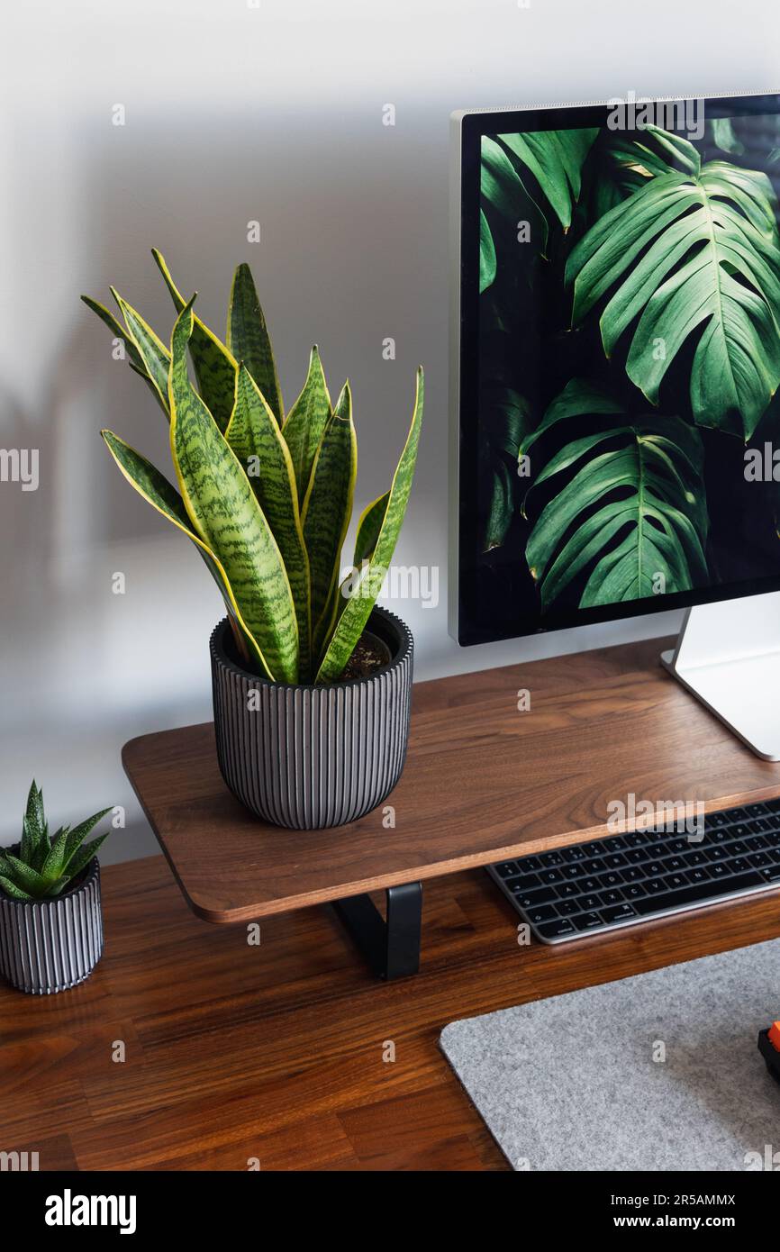 LONDON - 31. MAI 2023: Minimaler Schreibtischaufwand im modernen Home Office mit Anlagen und Computer Stockfoto