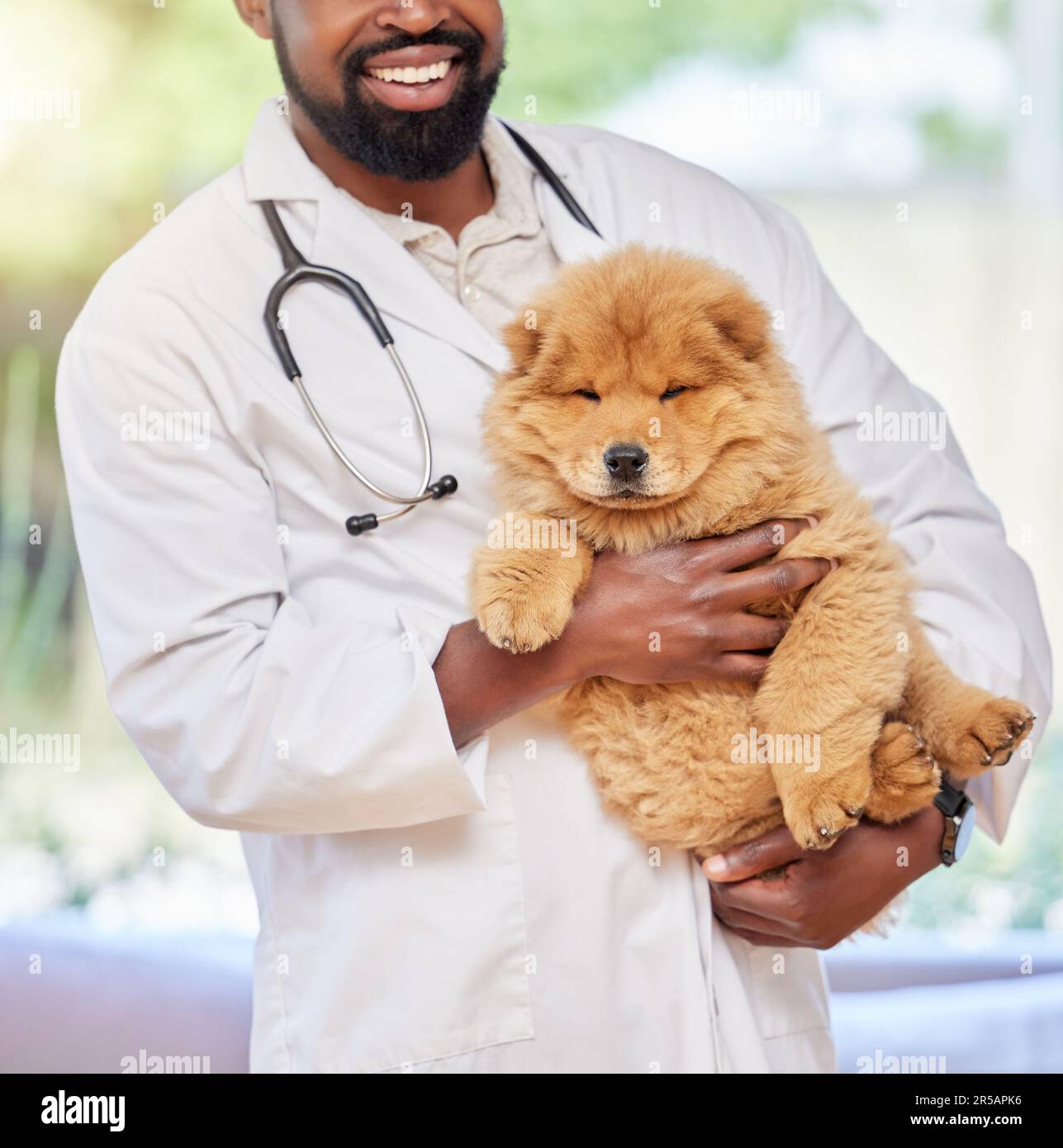 Schwarzer Mann, Tierarzt und Welpe in einer Klinik, medizinische und tierische Unterstützung mit einem Lächeln. Glücklicher afrikanischer männlicher und tierärztlicher Angestellter mit einem Stockfoto