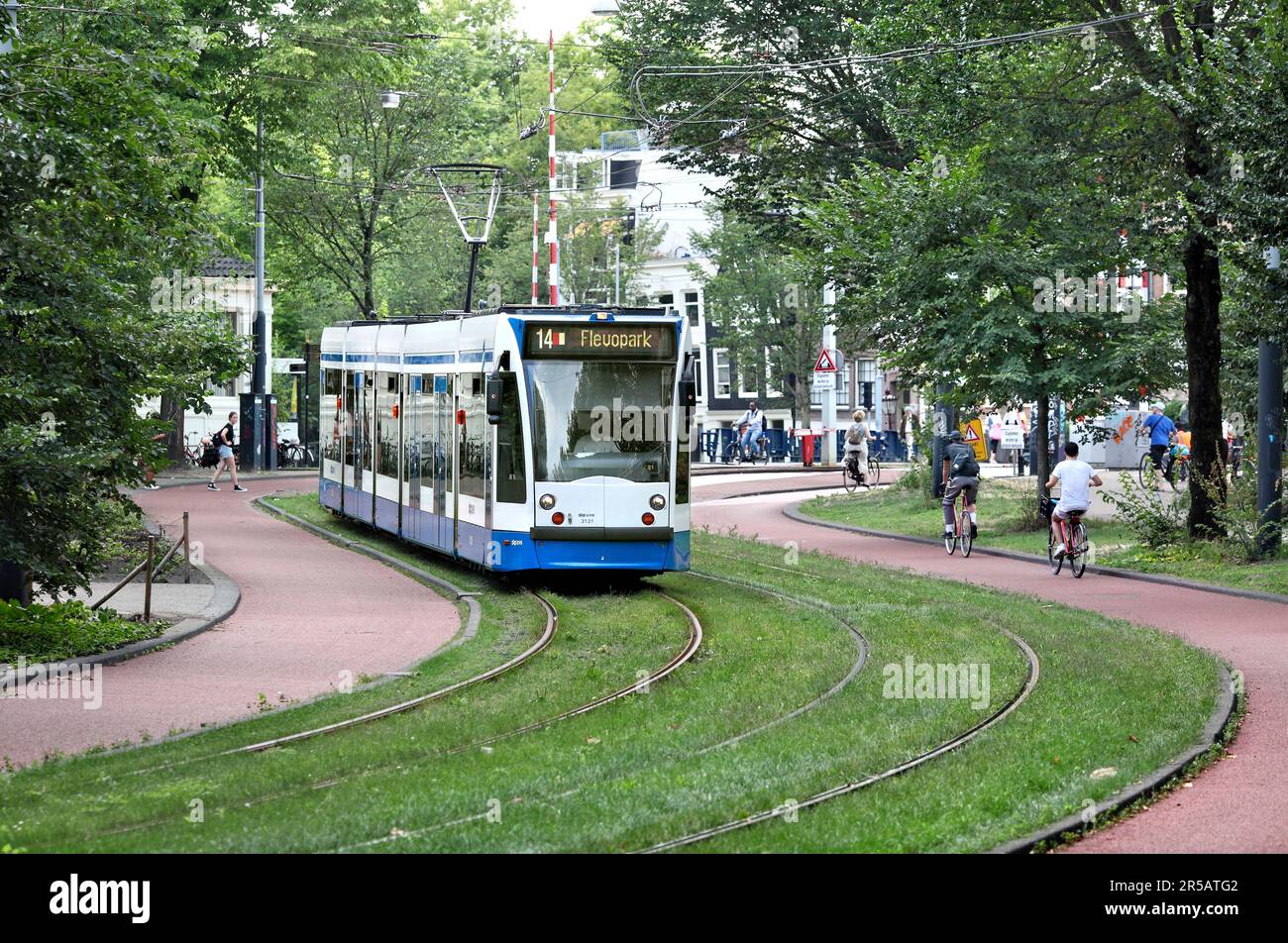 Eine Straßenbahn schlängelt sich durch Plantage Middenlaan, einen grünen Verkehrskorridor (Straßenbahnlinien, Radwege und Fußwege) im Wertheimpark, Amsterdam. Stockfoto