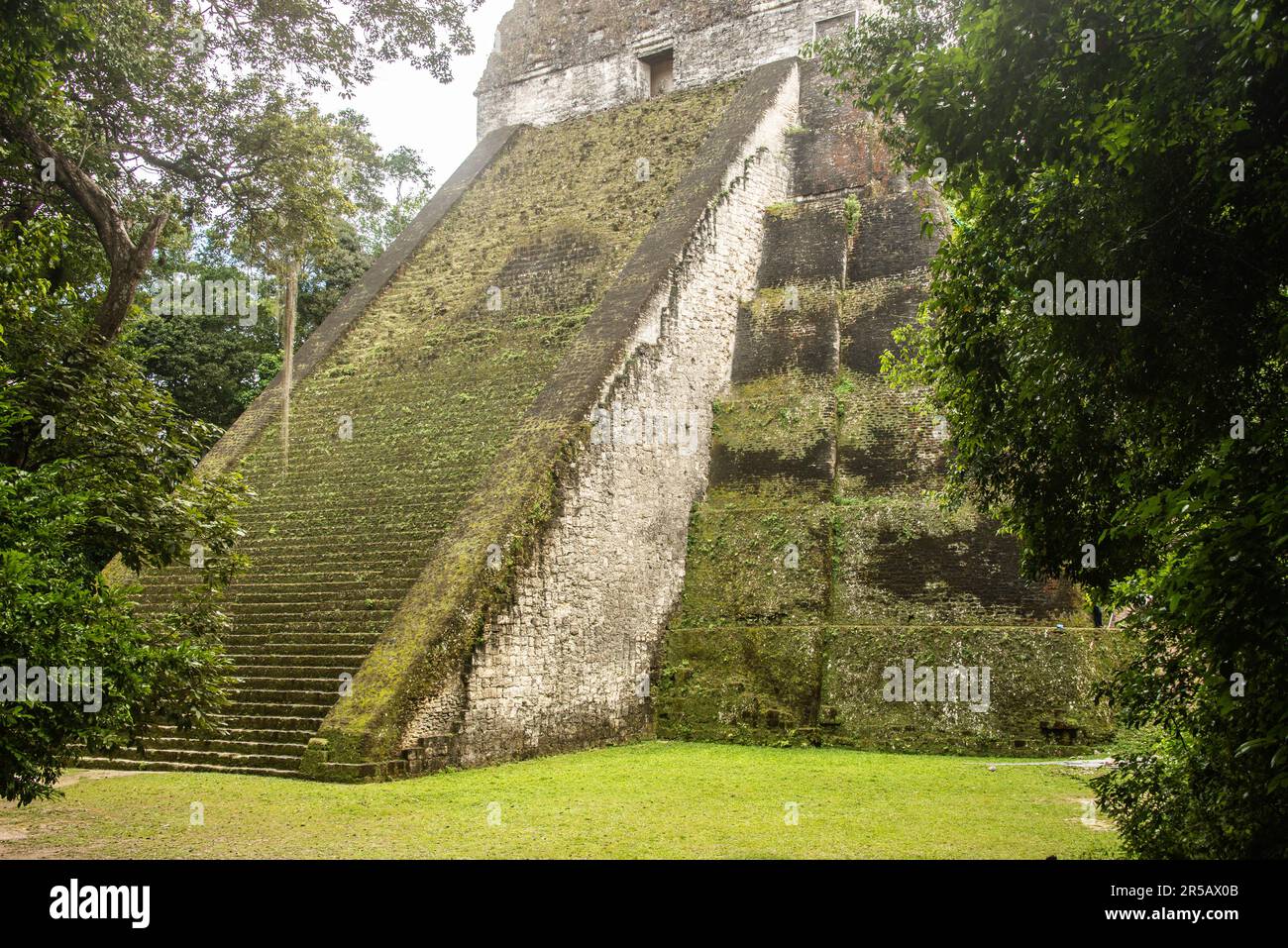 Blick auf den Tempel V im Tikal Nationalpark, Petén, Guatemala Stockfoto