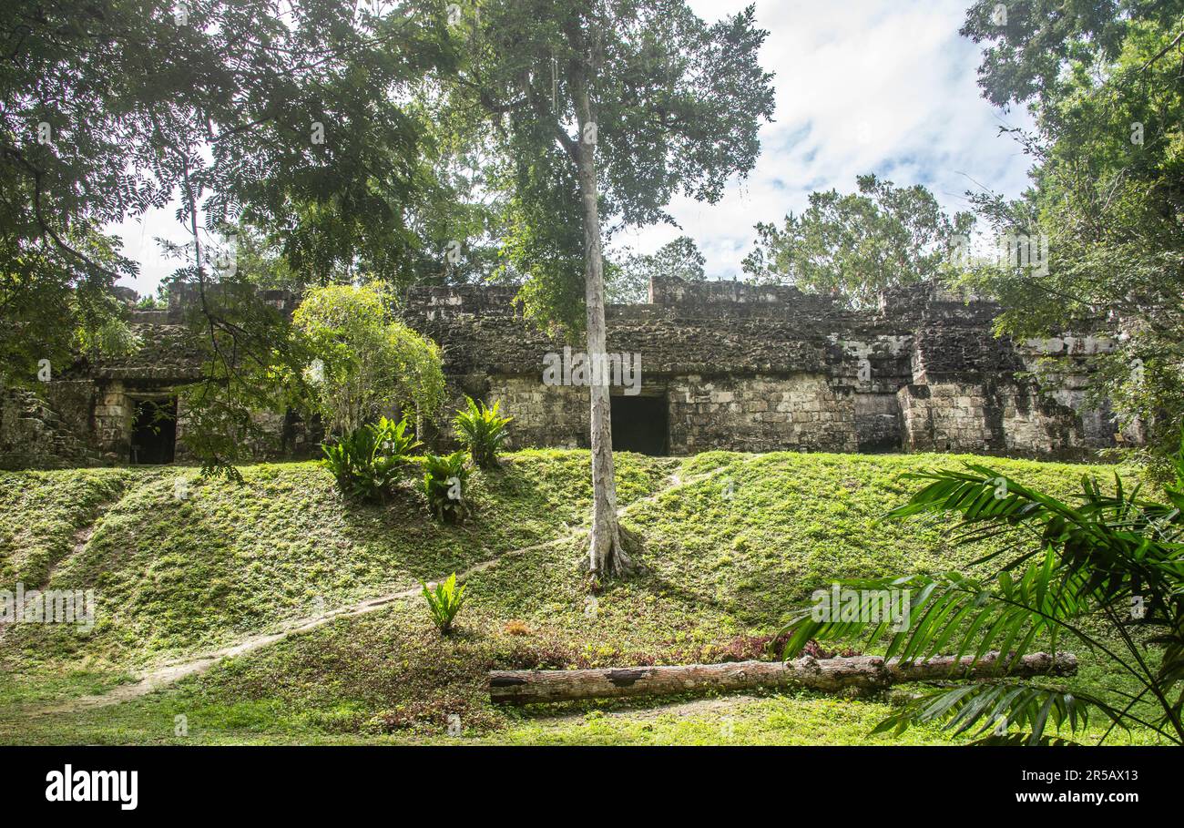 Ruinen von Tikal, Nationalpark Tikal, Petén, Guatemala Stockfoto