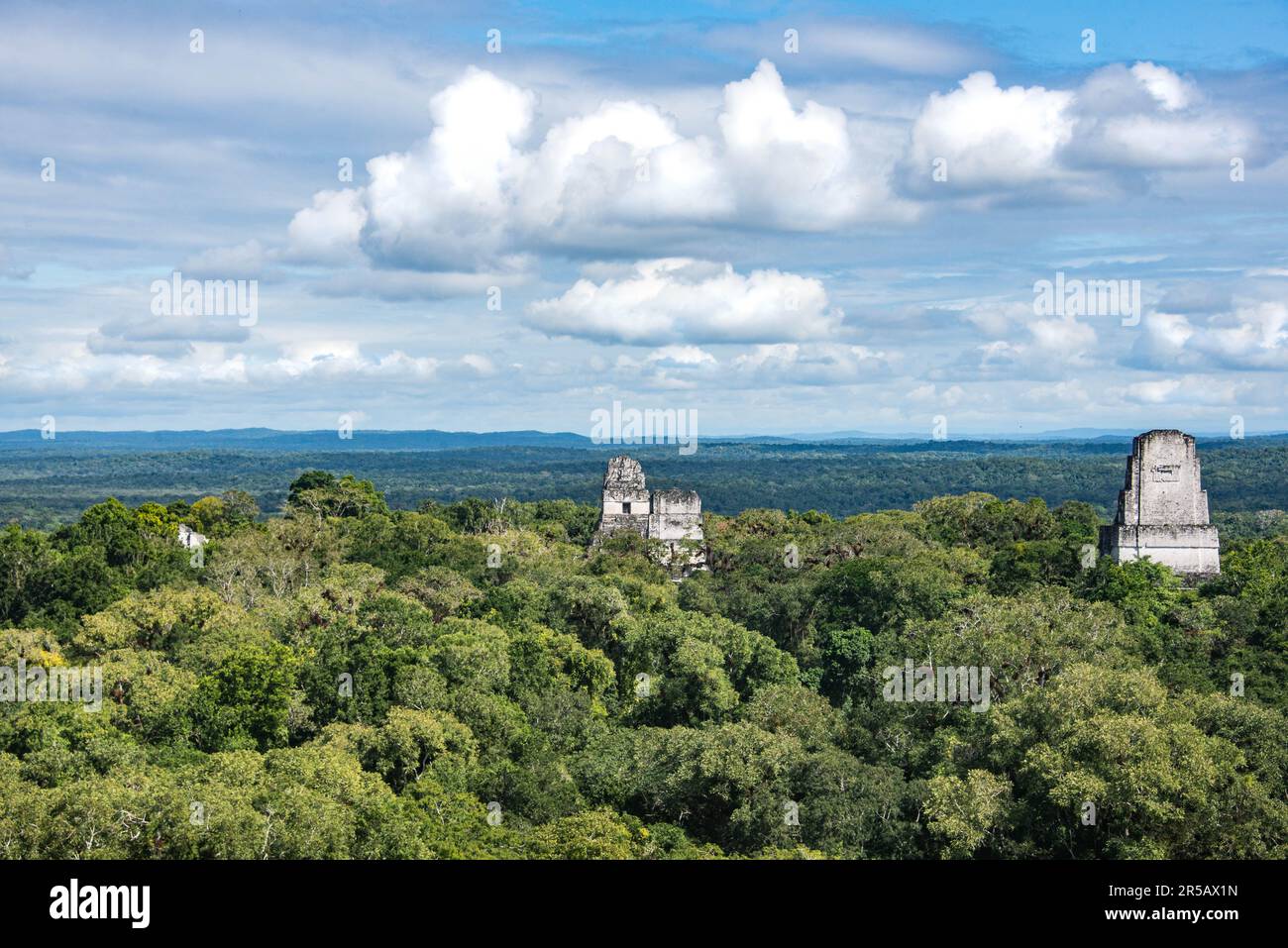 Tempel IV erhebt sich über dem Dschungel im Tikal Nationalpark, Petén, Guatemala Stockfoto