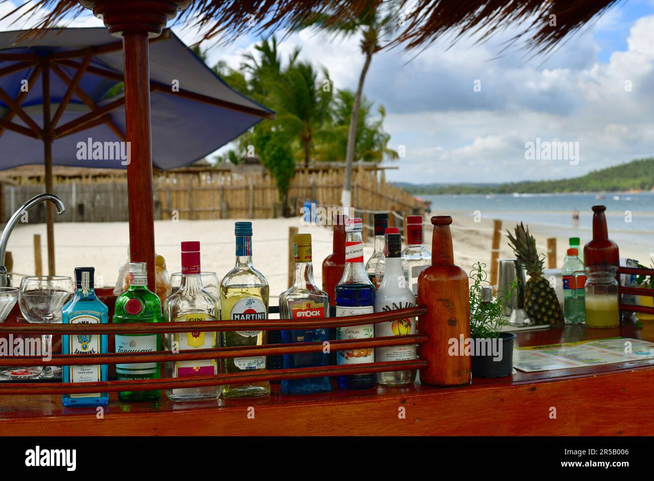 Nahaufnahme der Strandbar, alkoholische Getränke und Werkzeuge für die Cocktailzubereitung. Meer und Strand im Hintergrund Stockfoto