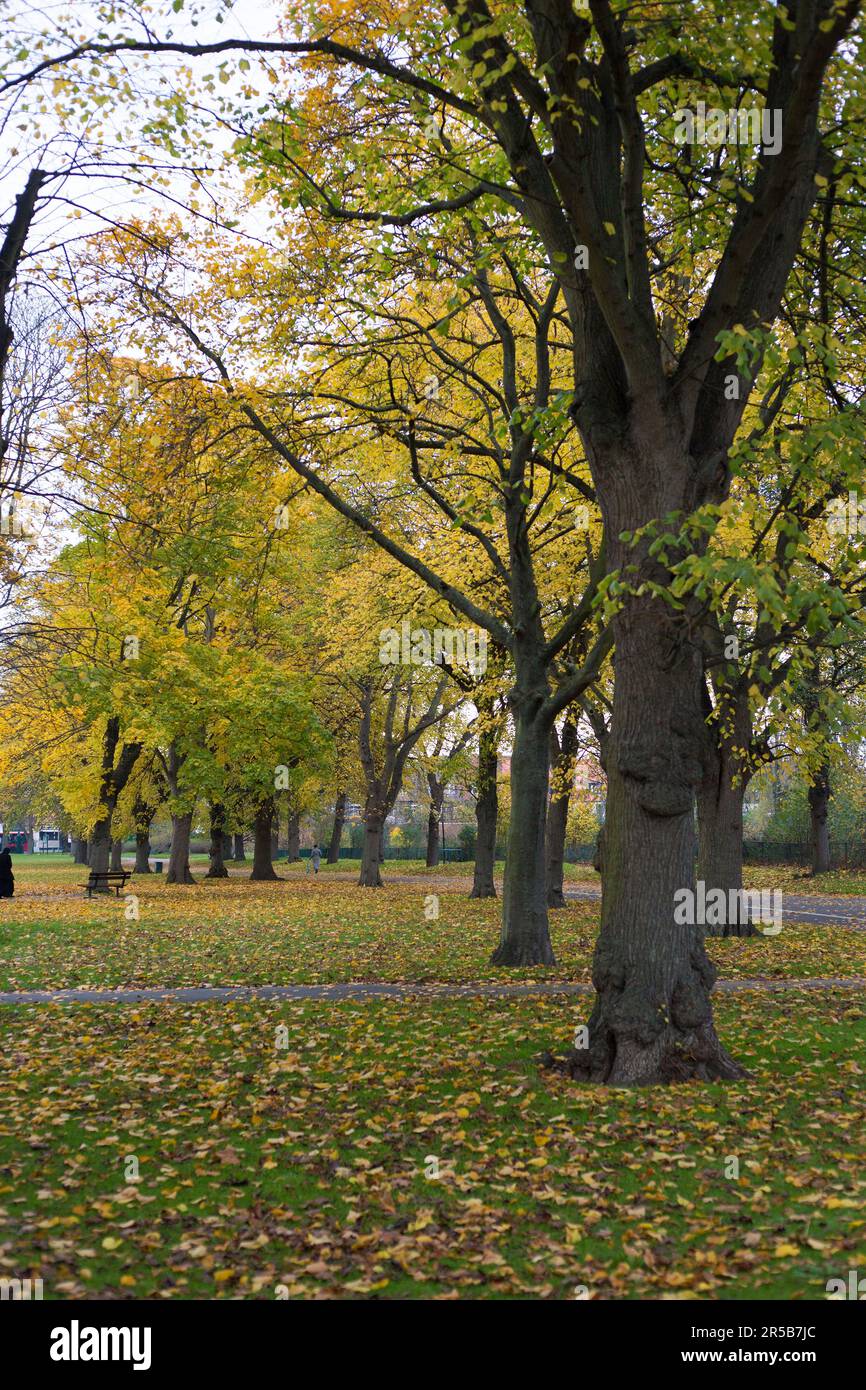 Ilford, East London. Stockfoto