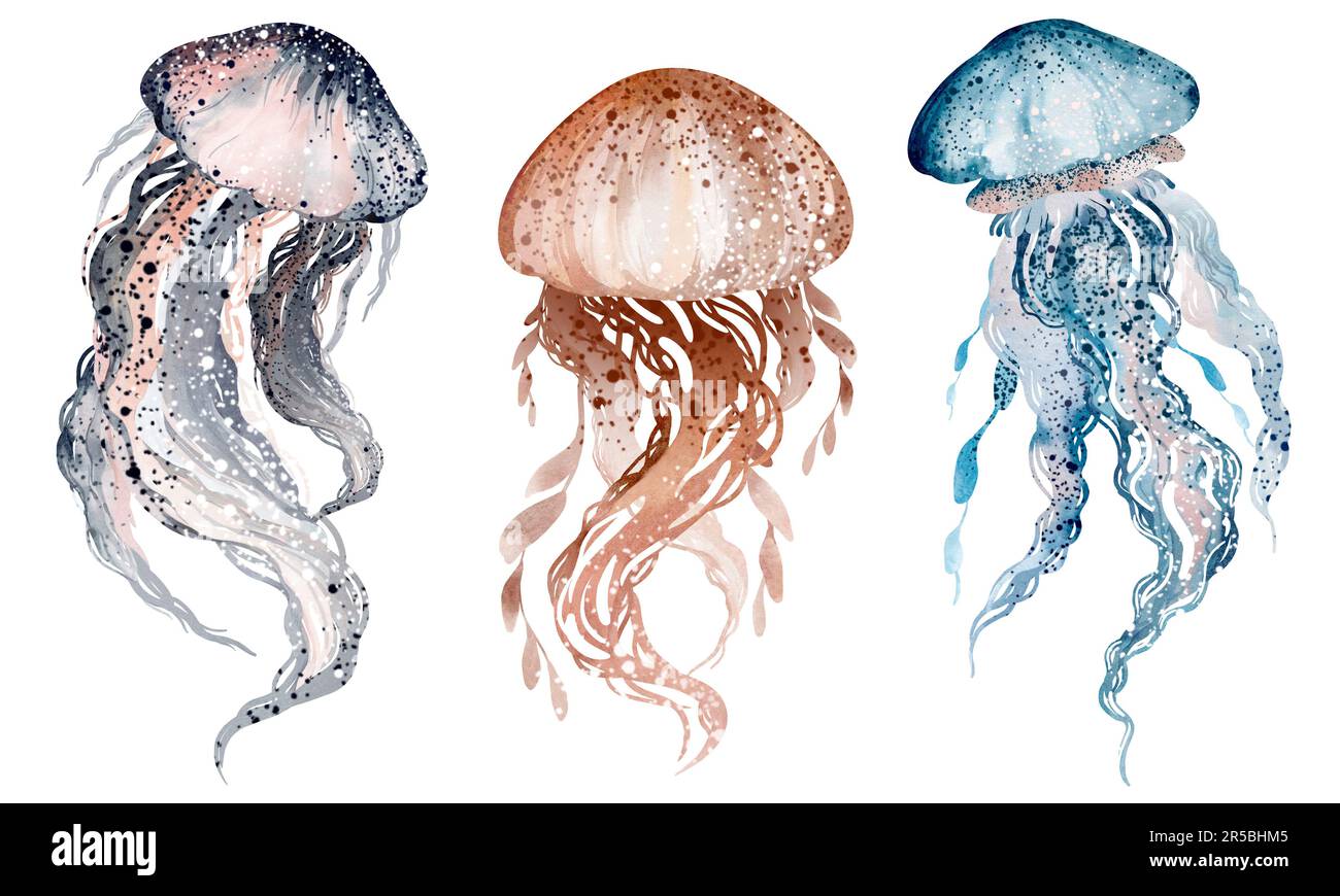 Aquarelldarstellung von Unterwasserquallen. Meeresbewohner der Unterwasserwelt. Illustration, Bildung, Postkarte, Aufkleber, Stockfoto