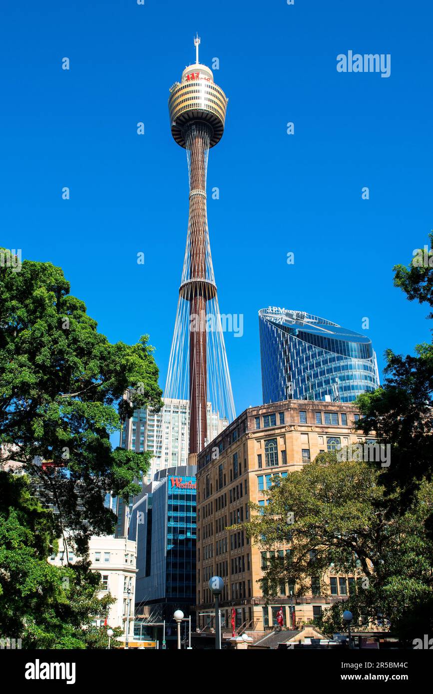 Sydney Tower Eye aus Hyde Park, New South Wales, Westfield Sydney, Australien Stockfoto