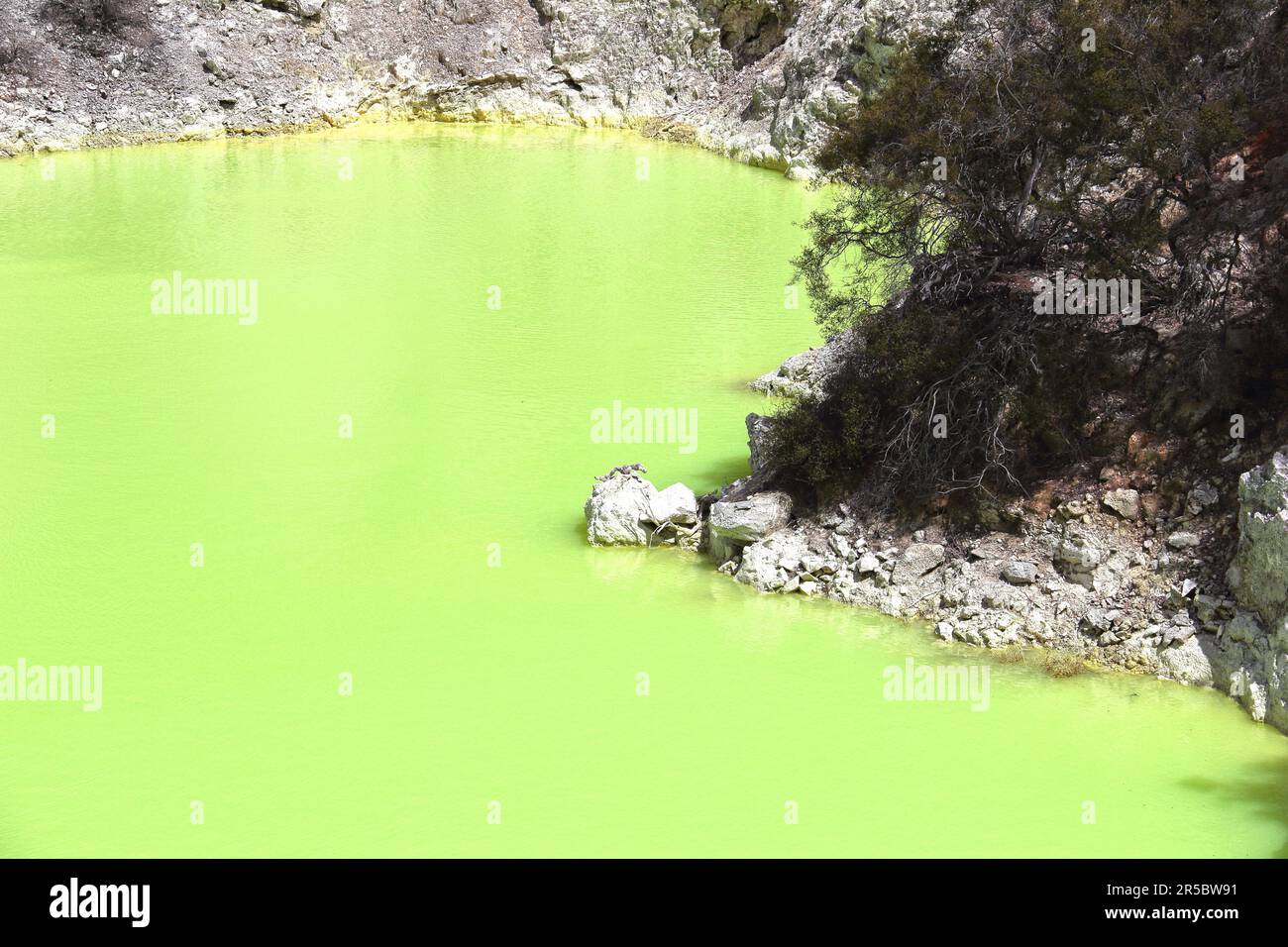 Das lebhafte grüne Wasser des Devils Pools in Rotorua Neu-Zealan Stockfoto